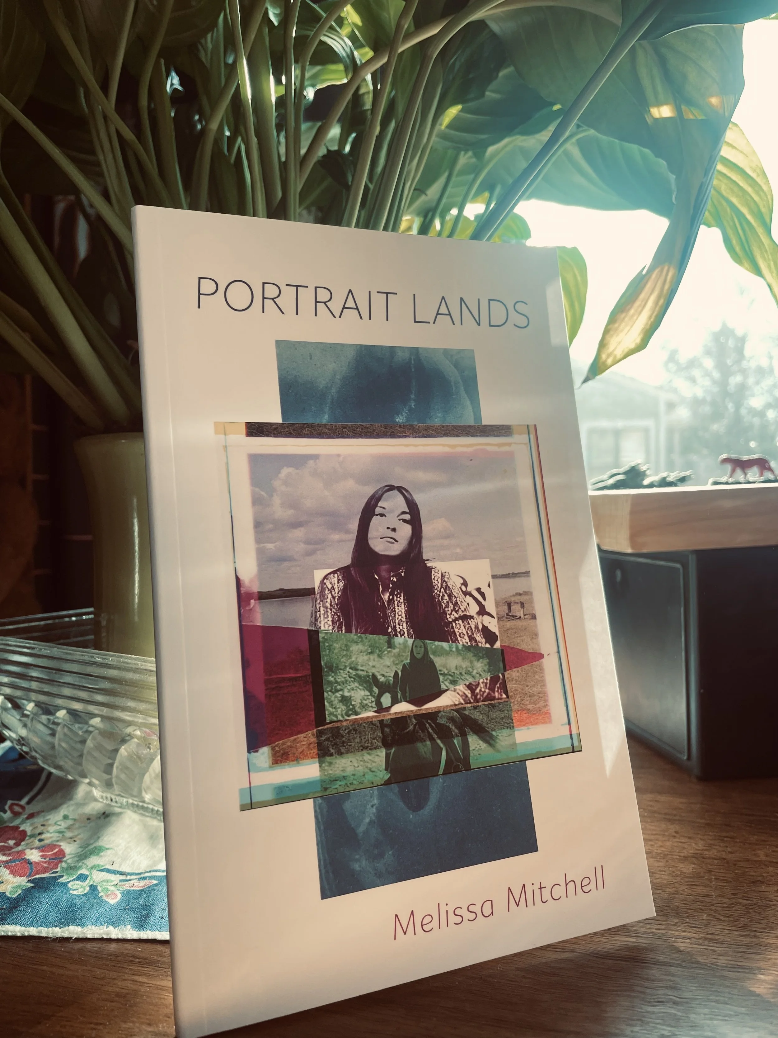 Printed book with a digital collage of a women, a horse, and the sea