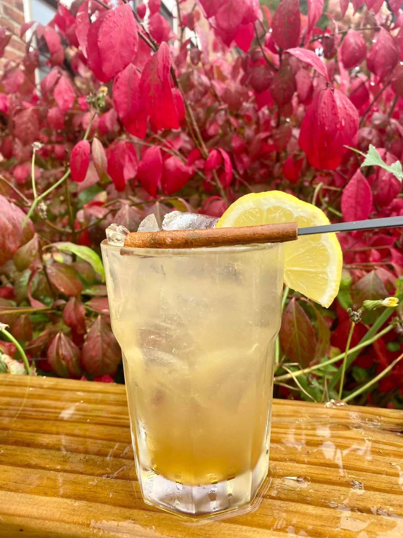 A refreshing seasonal cocktail special at the waterworks restaurant in rockland Maine with a beautiful foliage background