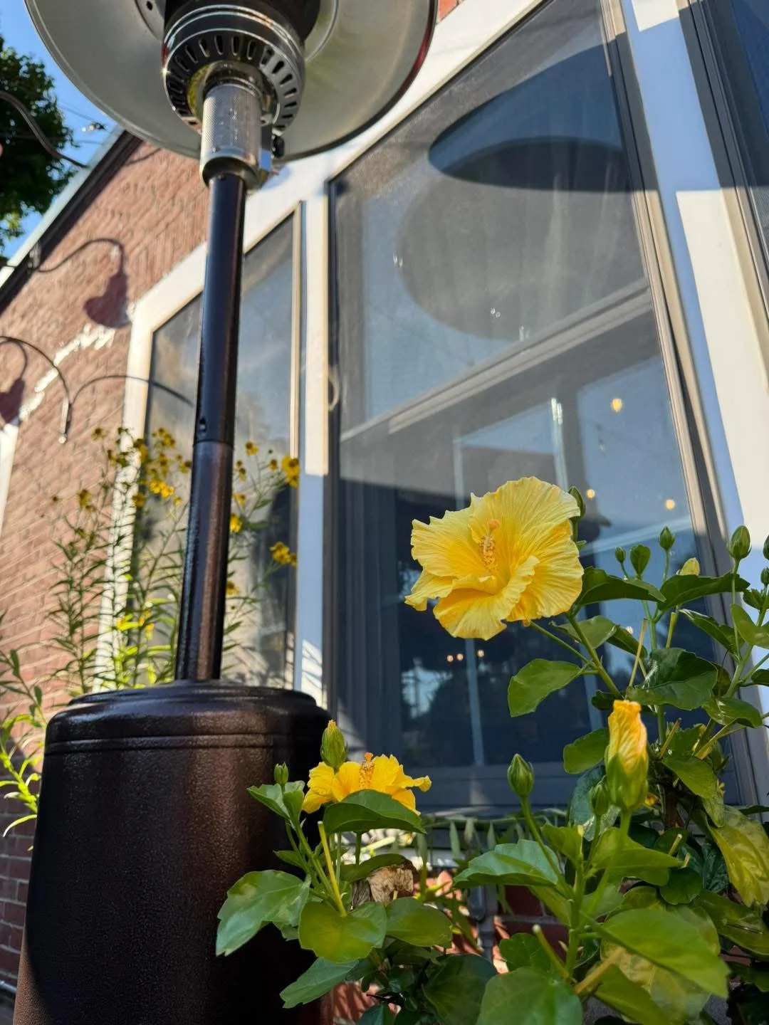 A view of one of our cozy outdoor heaters for our patio with some beautiful yellow flowers in a summer day sun at the Waterworks in Rockland Maine