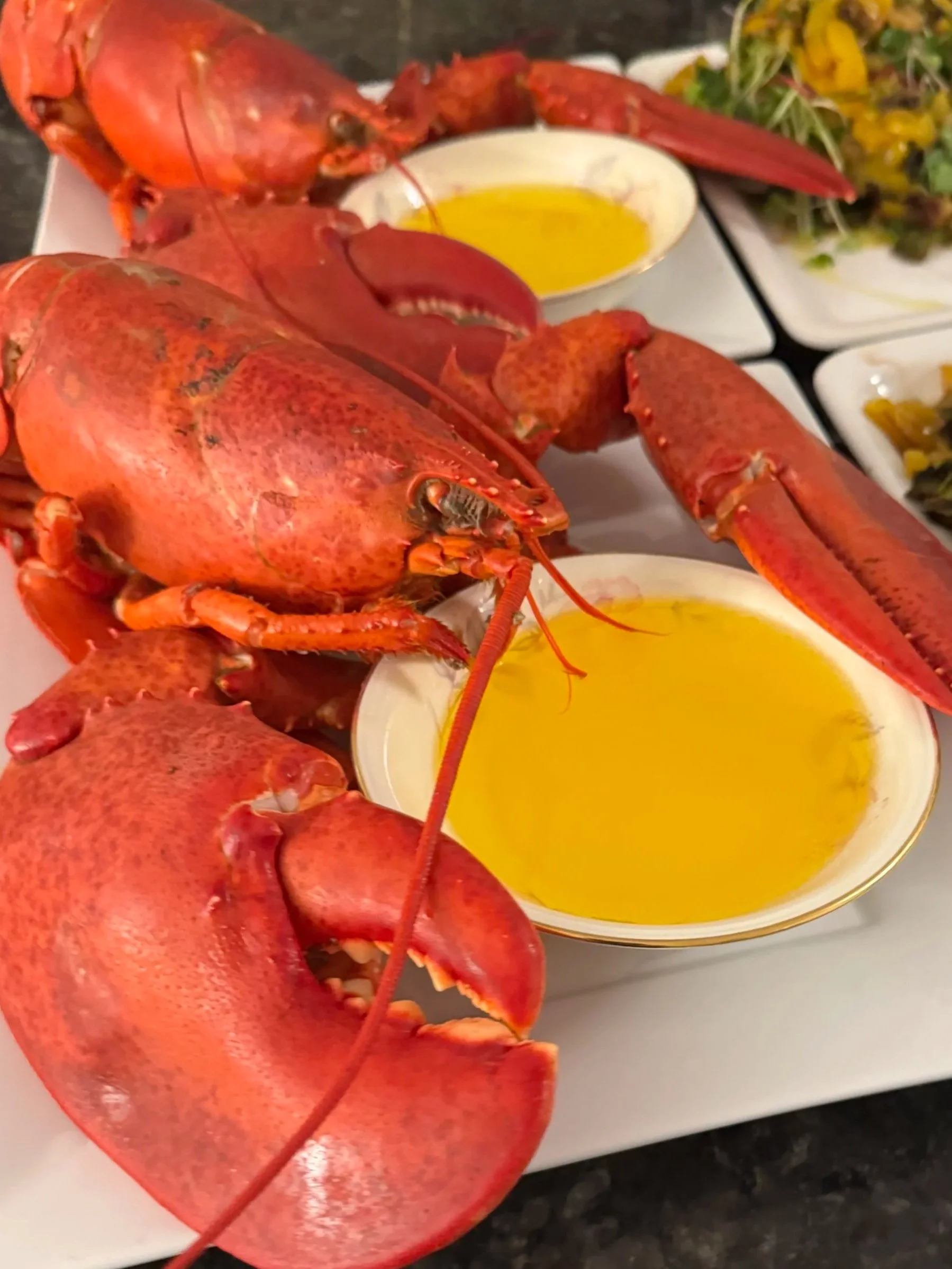 Huge select lobsters, freshly caught and cooked with a delicious melted butter, drizzle and large side salads at the Waterworks restaurant in Rockland Maine