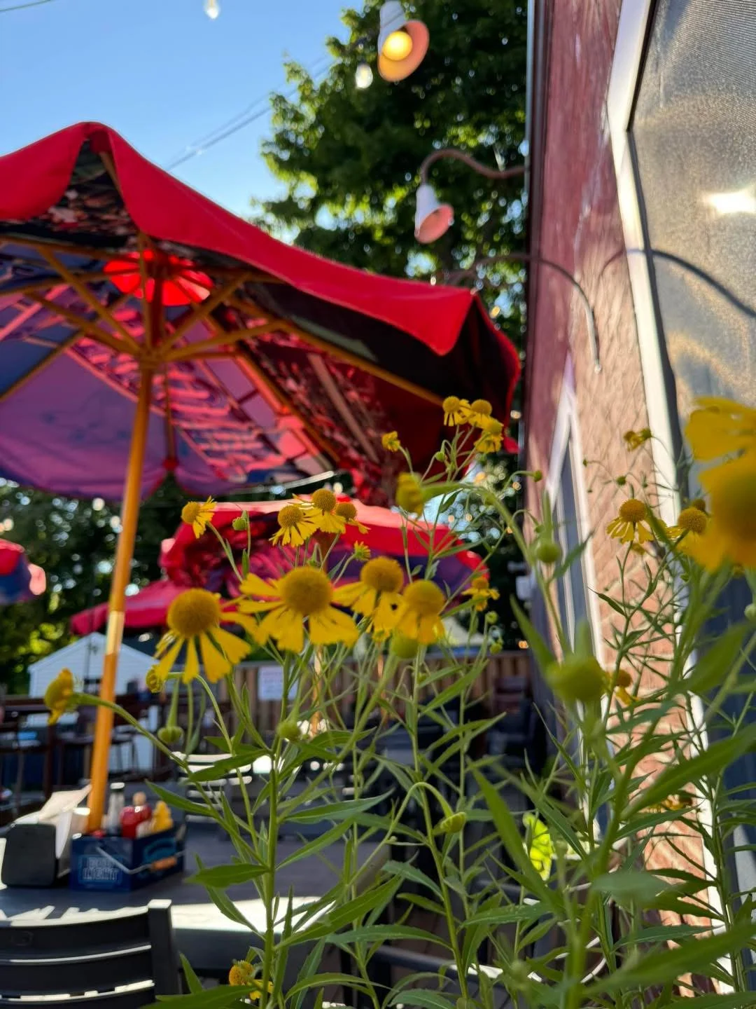 Soaking up the sun on our gorgeous patio here at the Waterworks restaurant in Rockland, Maine