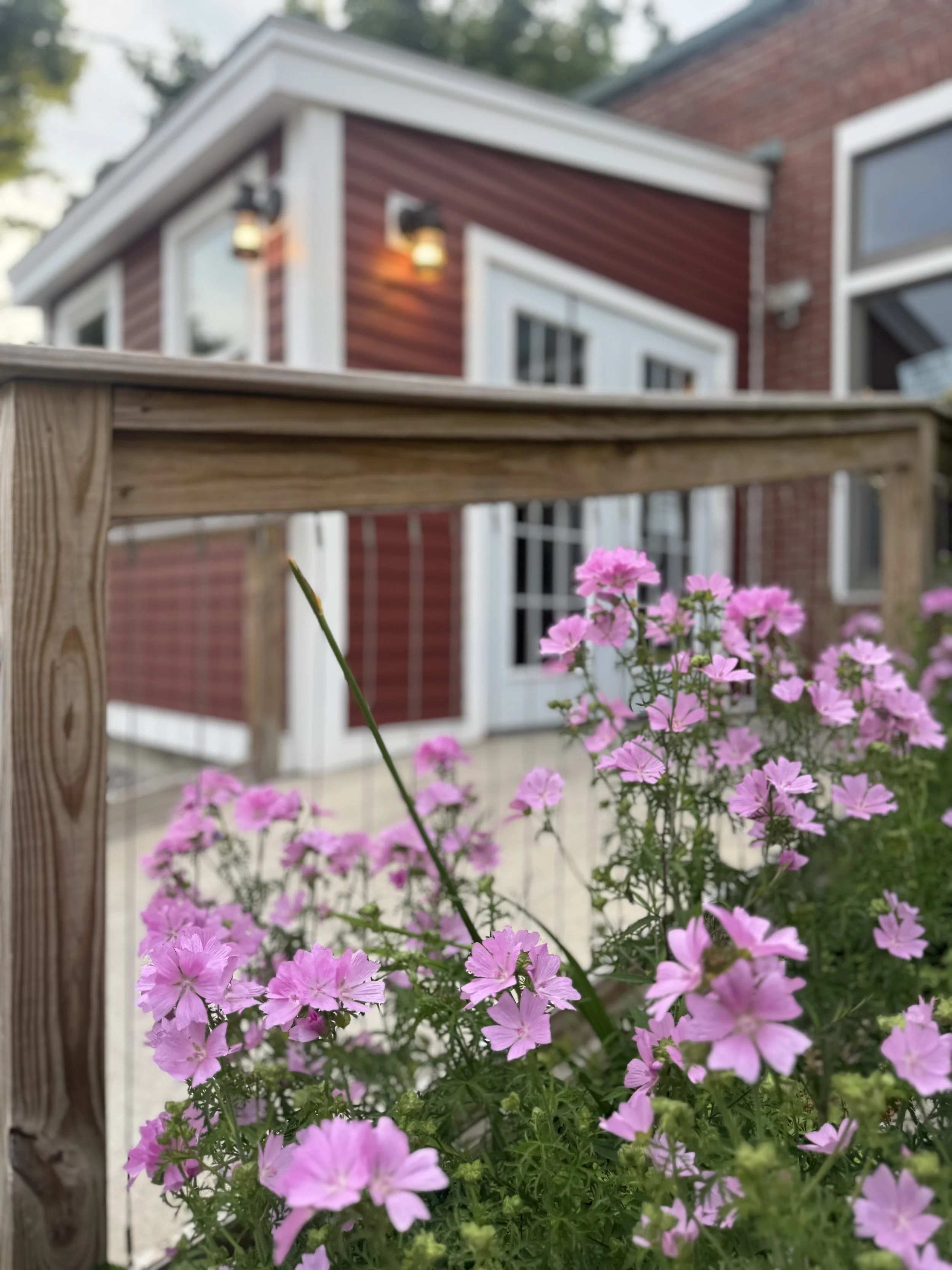 A beautiful late spring early summer photo of the handicap accessible, beautiful entrance to the Waterworks that has wonderful lighting and a gorgeous ambience with a spacious, easy accessible double door entrance in Rockland, Maine at the Waterworks
