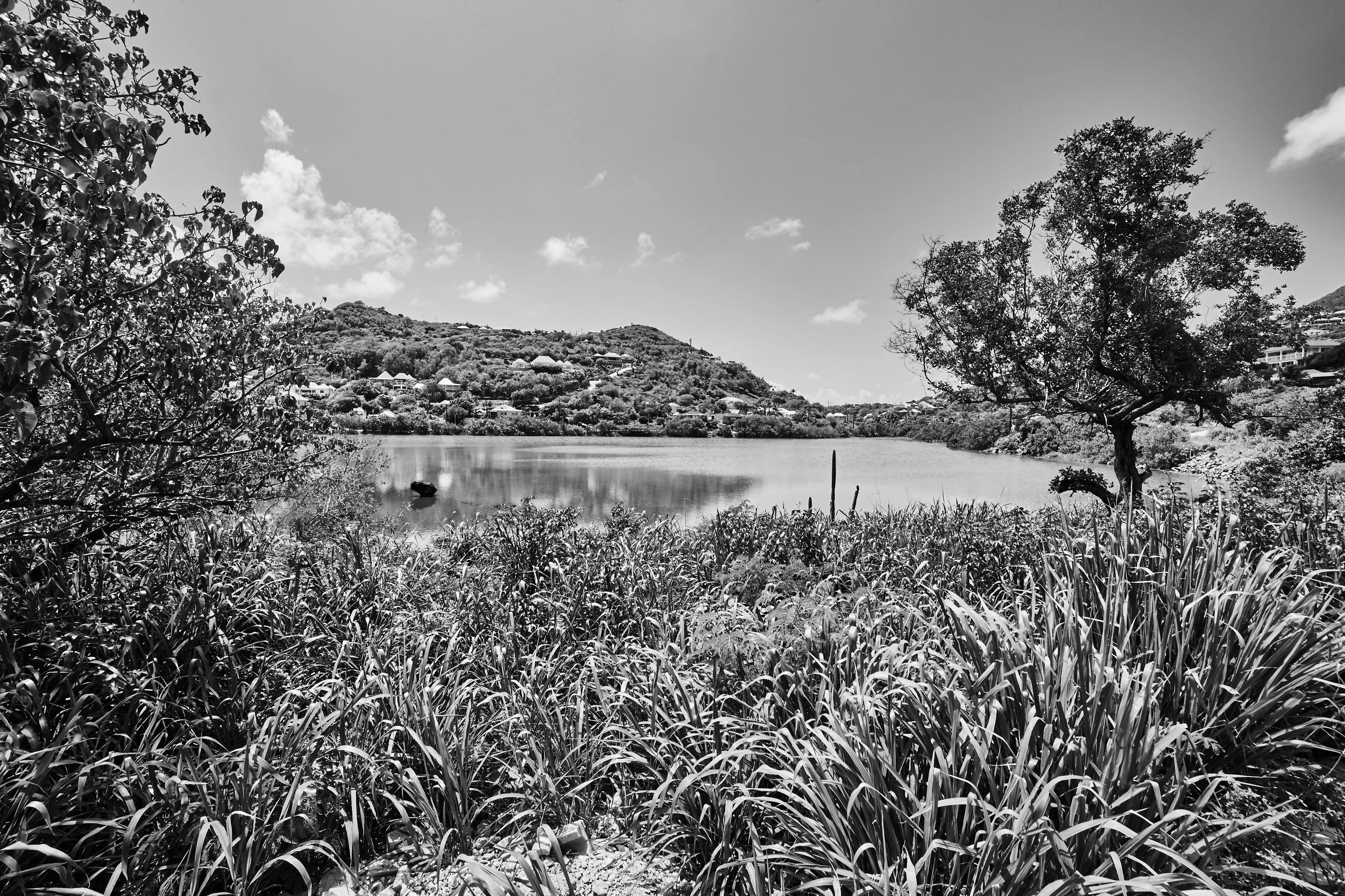 Cul de Sac - 2015 - #200