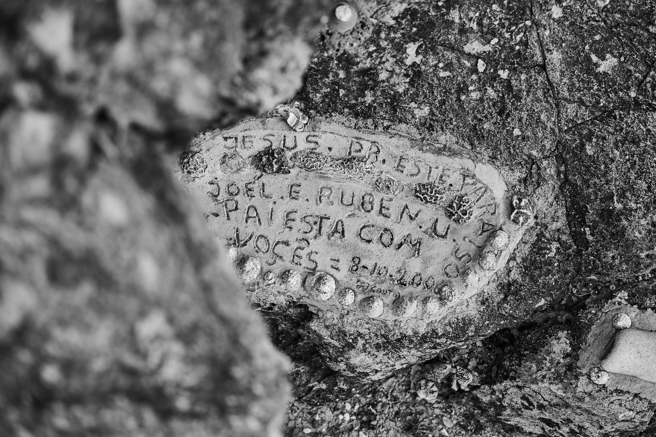 Grand Fond - 2009 - #082