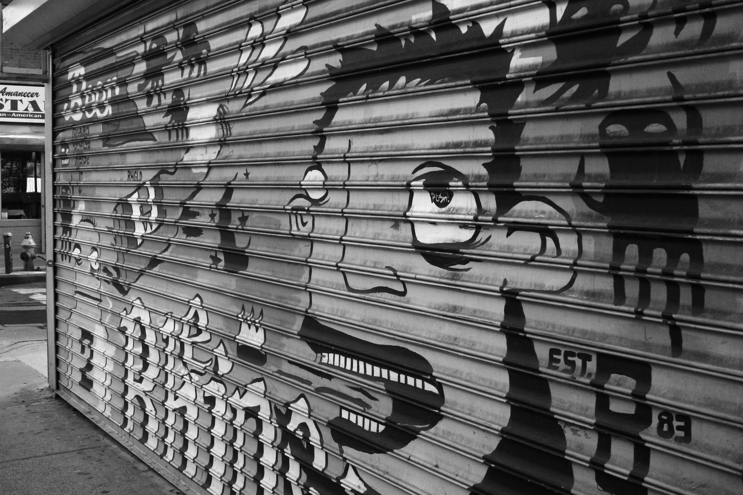 Black and white mural of a woman with curly hair and bold makeup, holding a microphone, painted on a metal roller shutter.