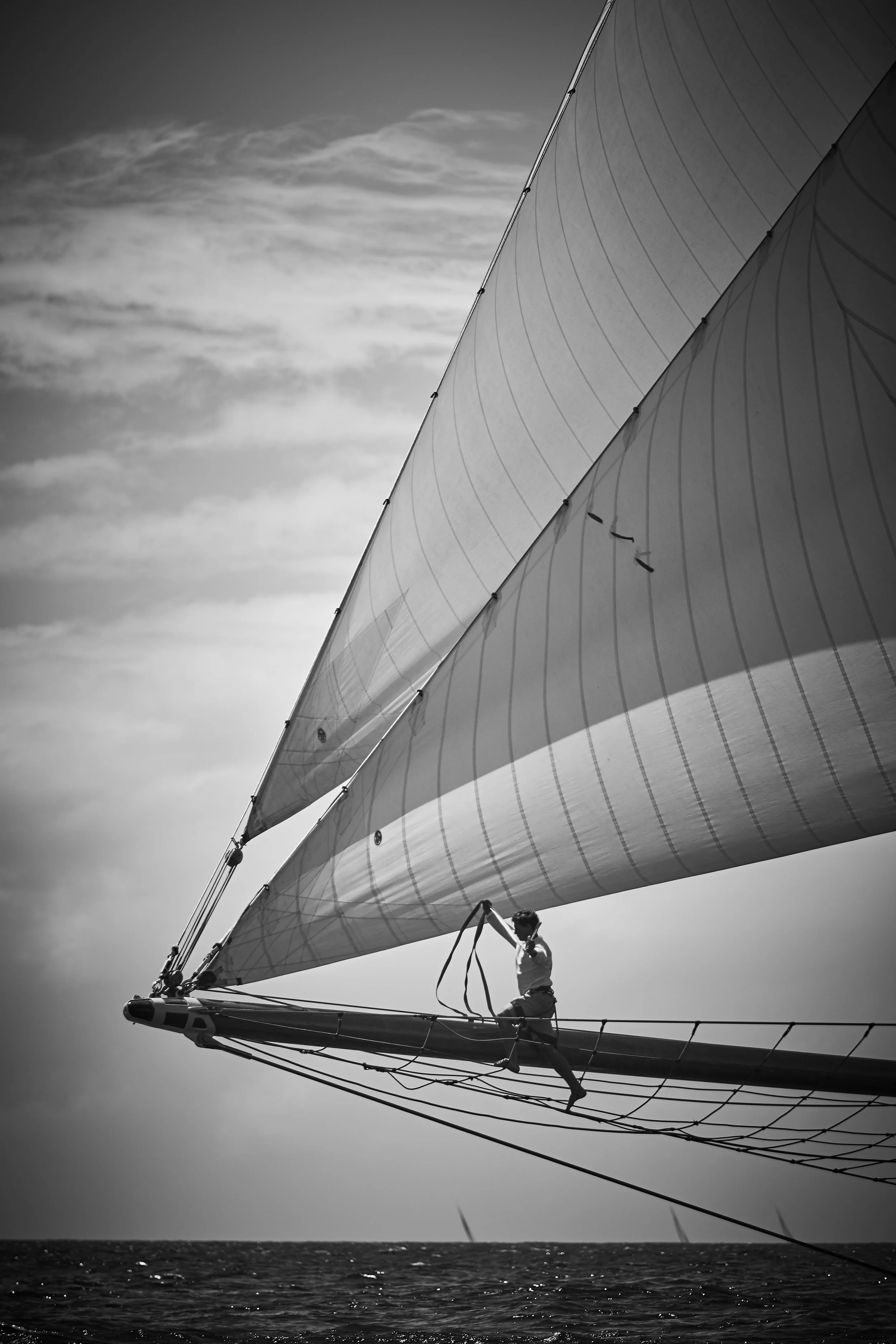 Sail - 2019 - #992