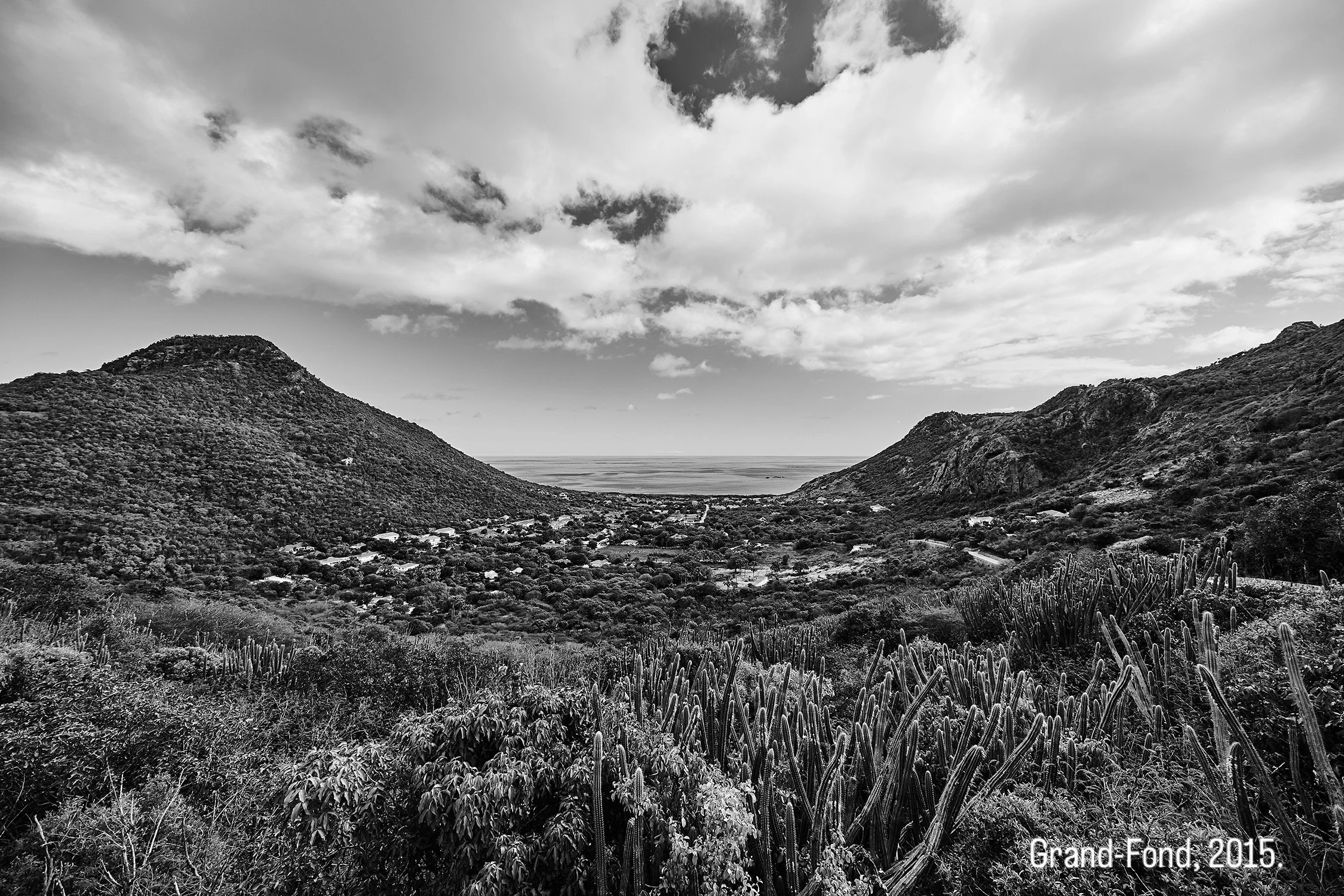 Grand Fond - 2015 - #769