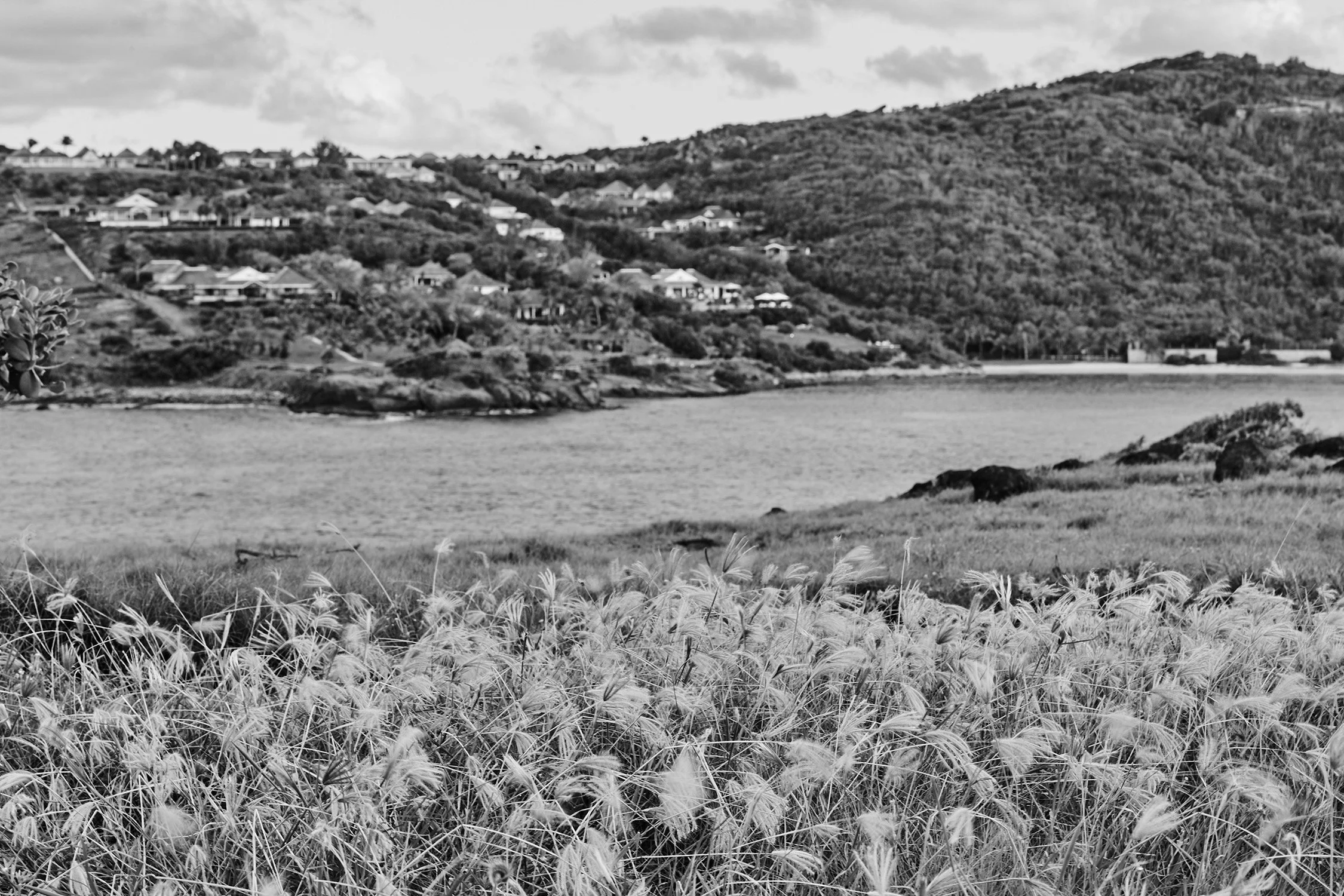 Petit Cul de Sac - 2015 - #569