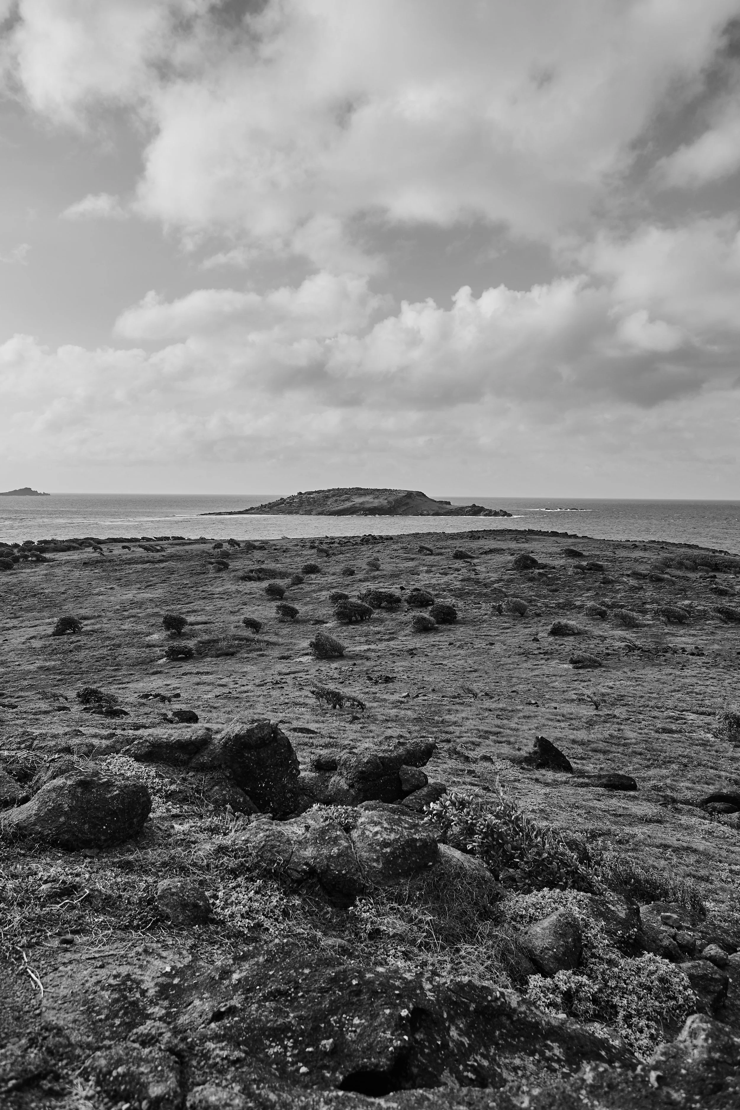 Petit Cul de Sac - 2014 - #199