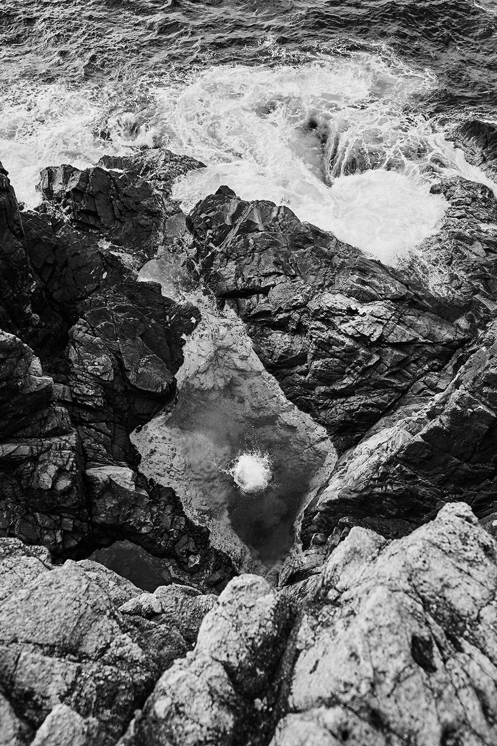 Natural Pool - 2015 - #190