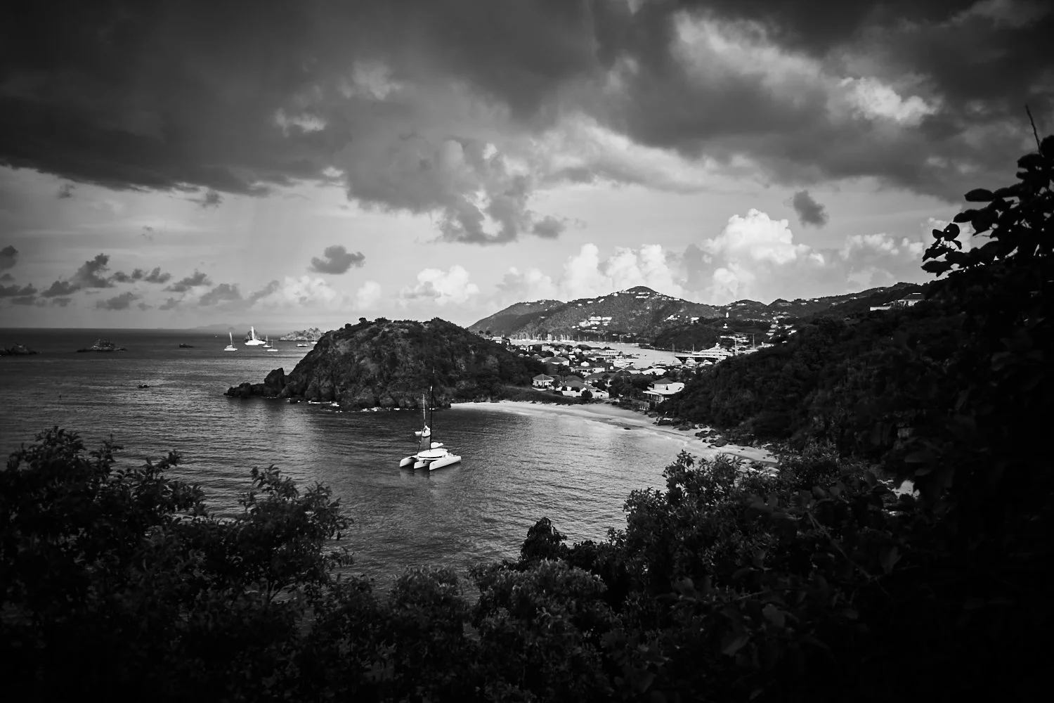 Shellbeach - 2015 - #188