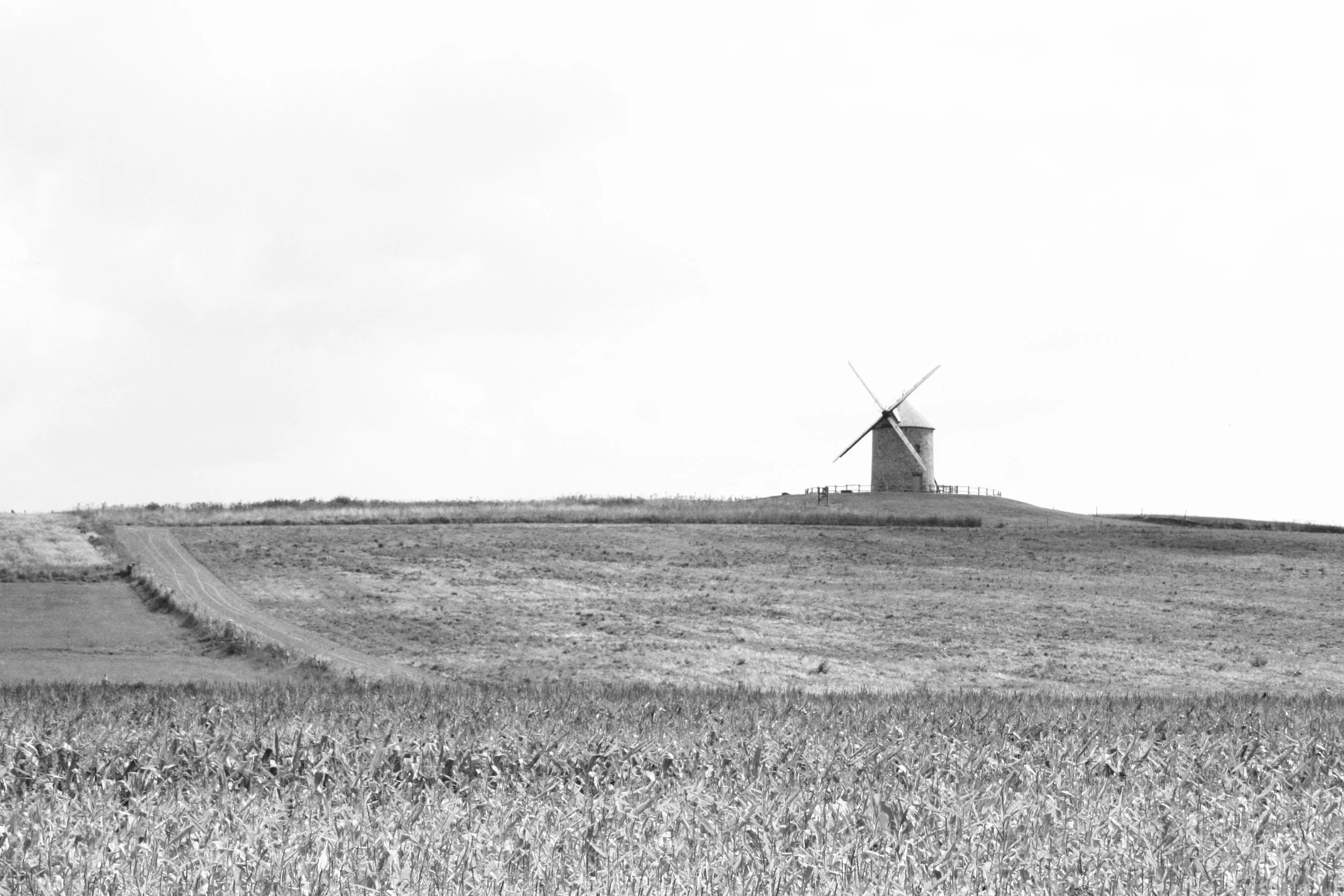A black and white photo of a windmill on a grassy hilltop with a clear sky in the background.