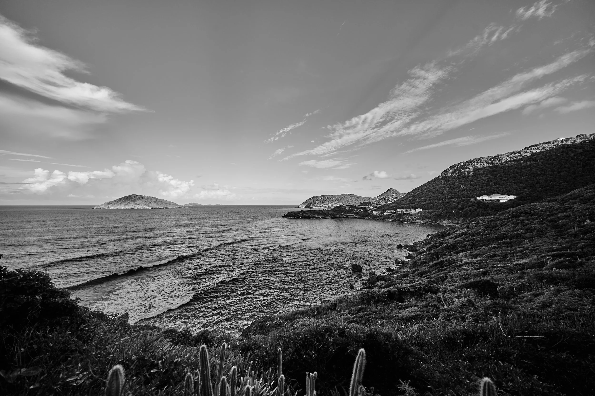 Petite Anse - 2019 -#188