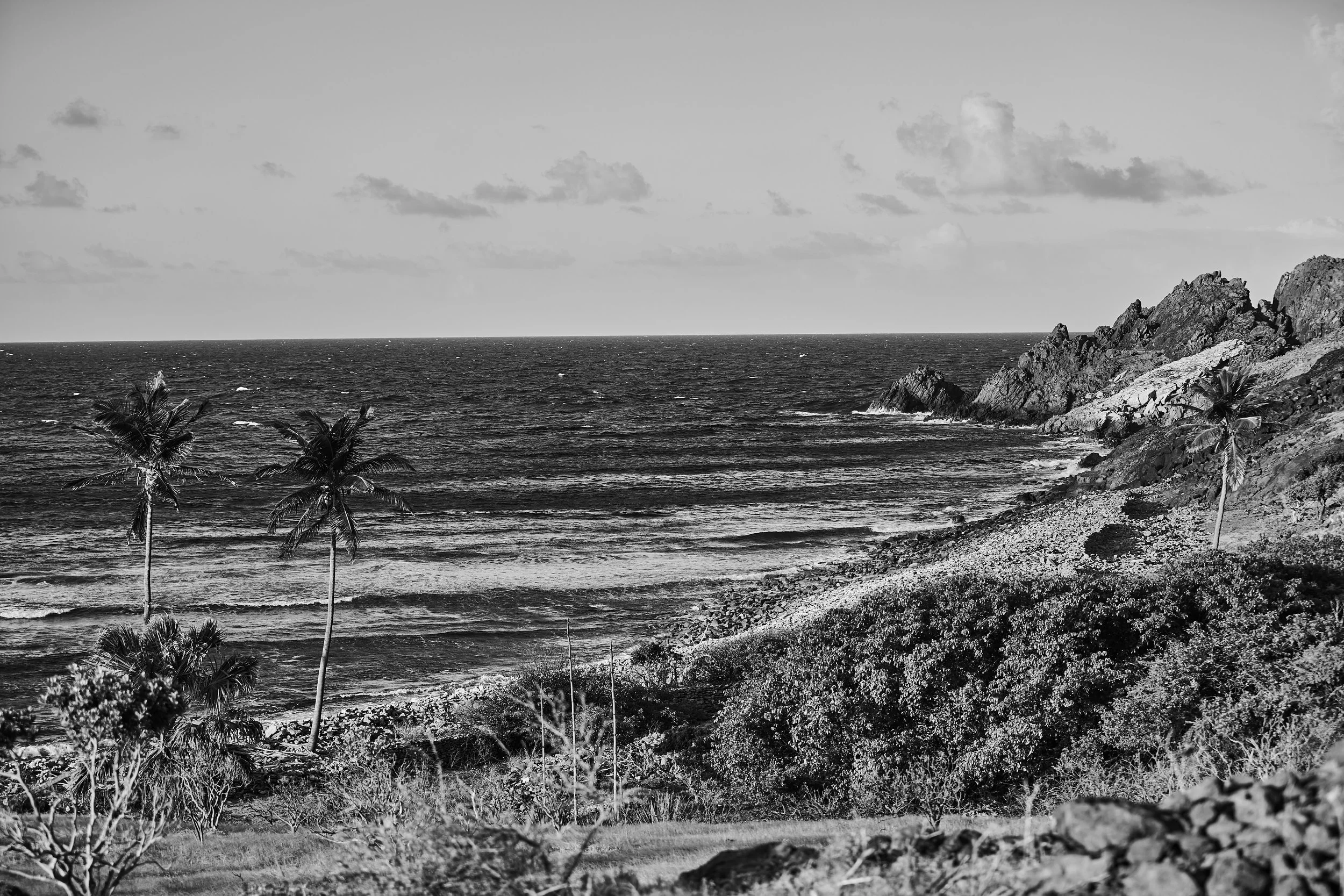 Cul de Sac - 2015 - #239