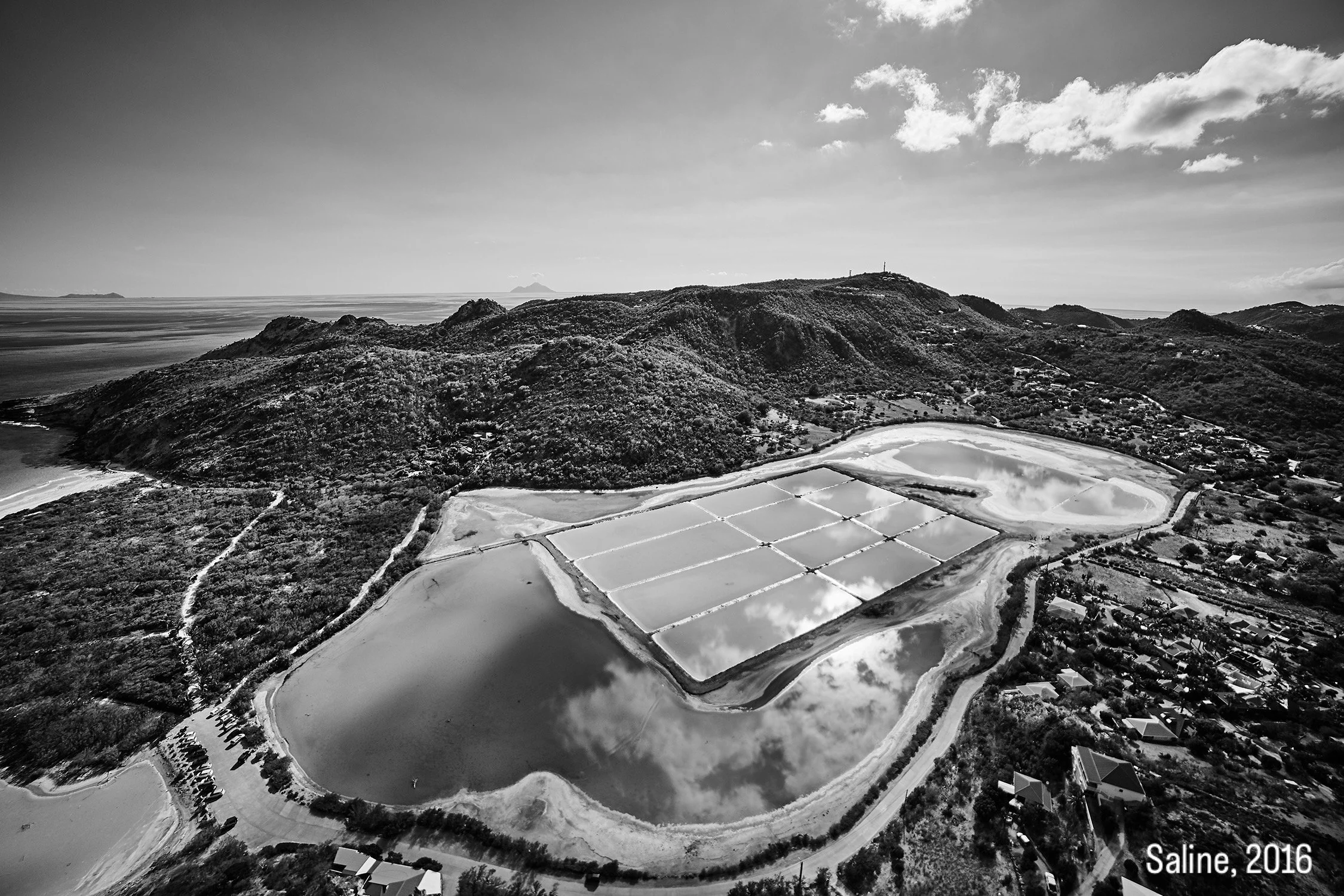 Saline - 2016 - #697