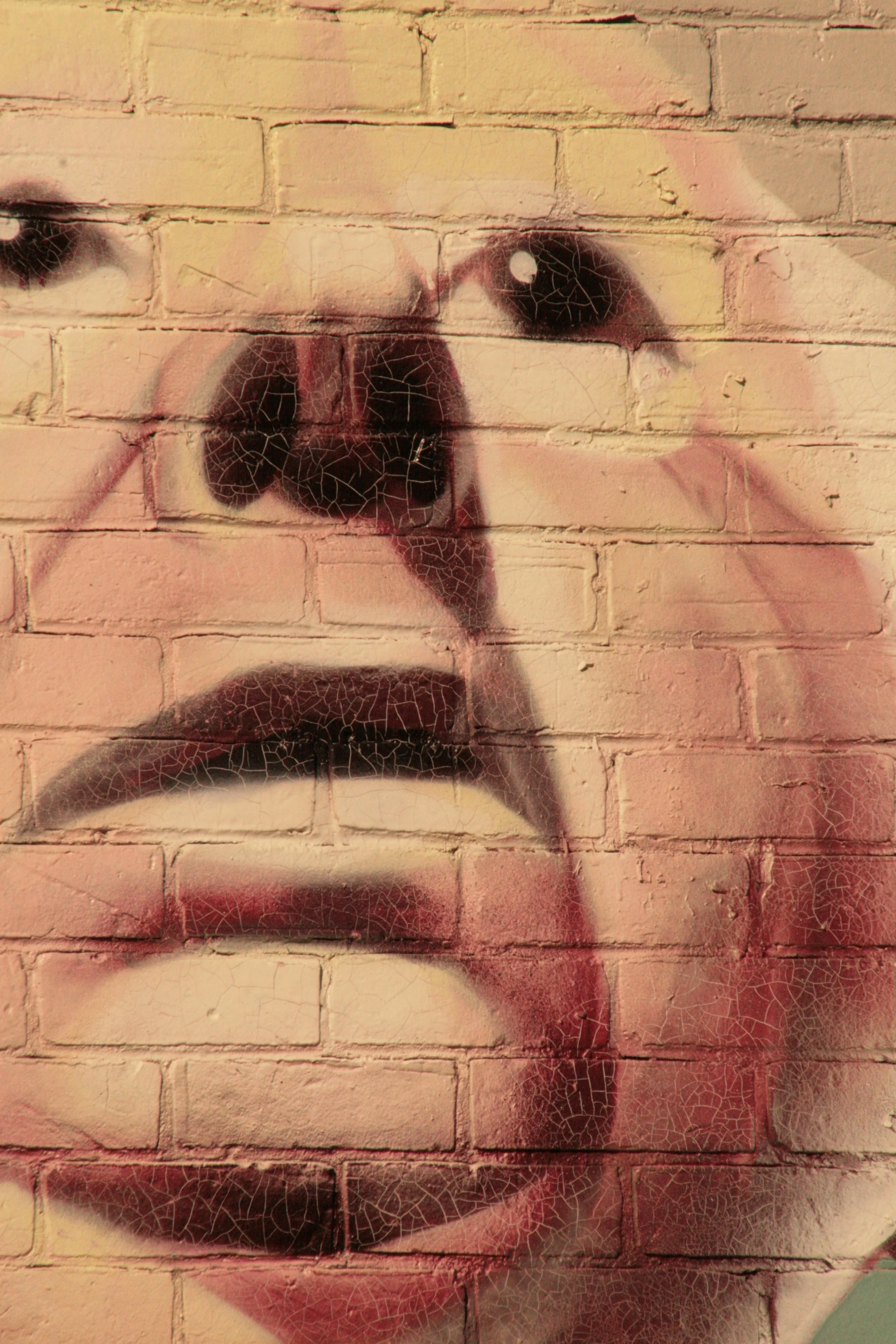 Close-up of a woman's face painted in graffiti style on a brick wall. The image showcases her eyes, nose, and mouth with a textured, cracked paint effect.