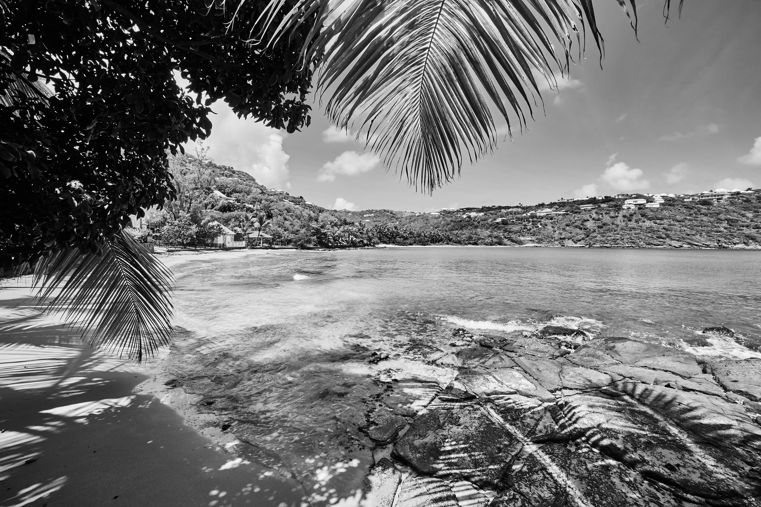 Marigot - 2017 - #233