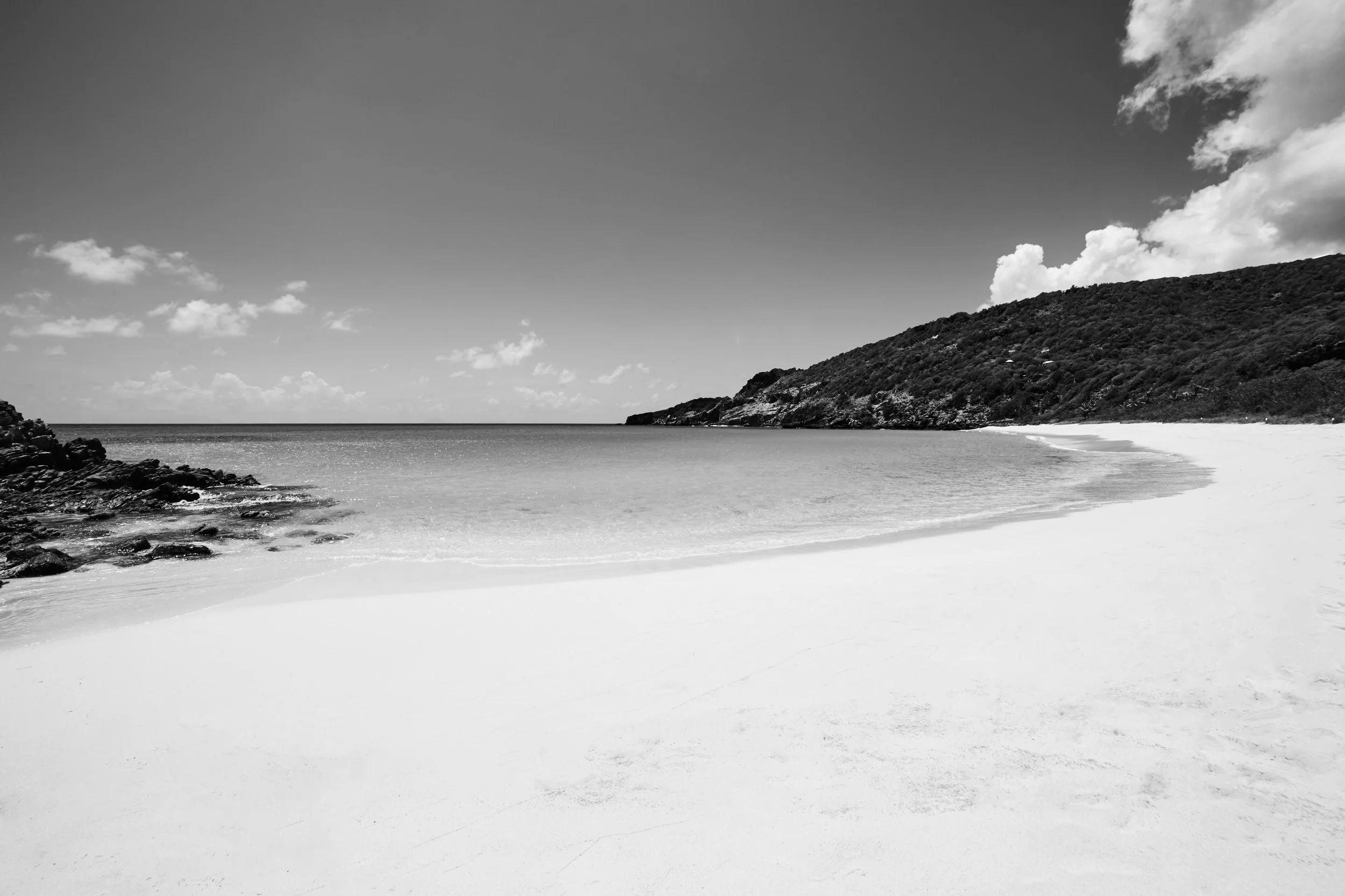 Gouverneur - 2015 - #202