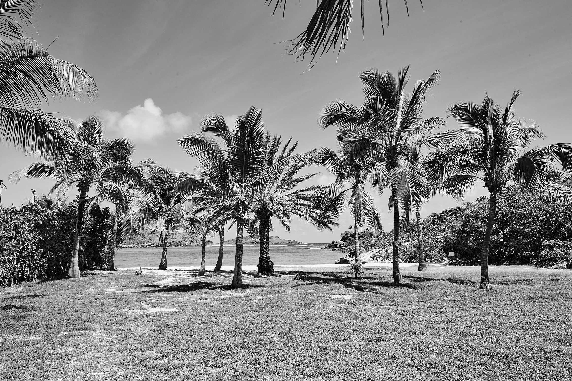 Petit Cul de Sac - 2016 - #121