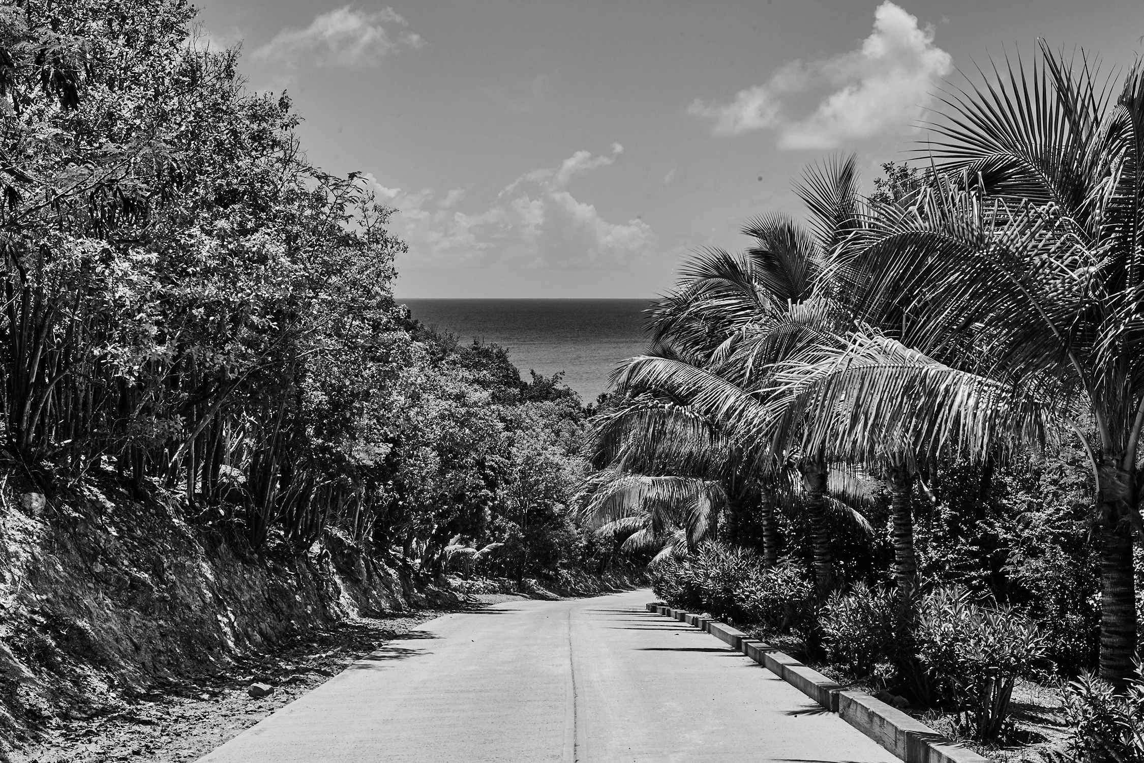 Gouverneur - 2016 - #204