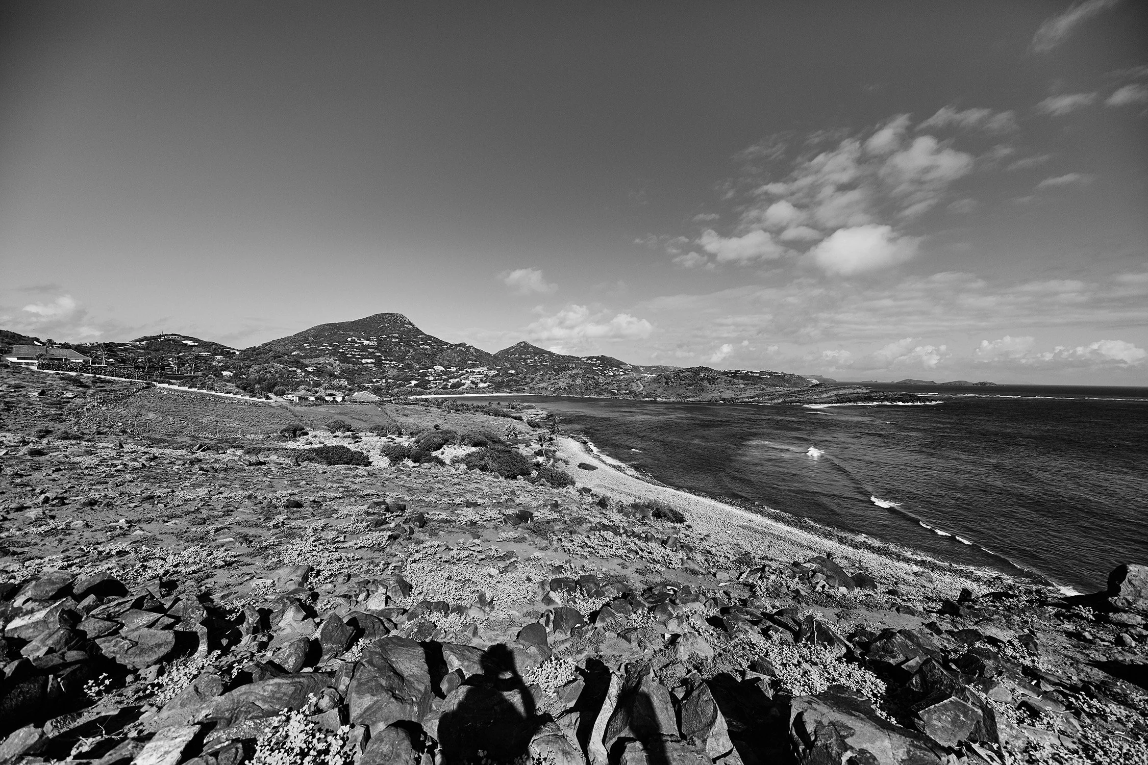 Petit Cul de Sac - 2020 - #887