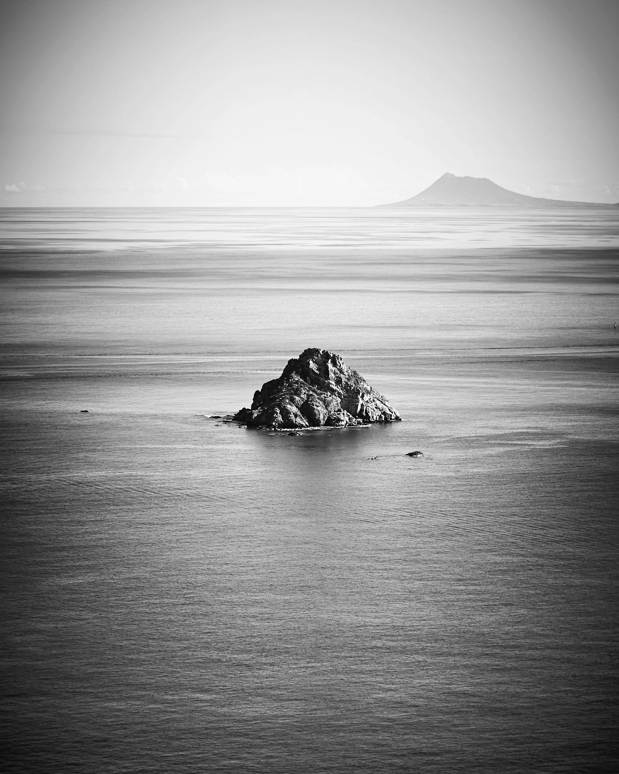 Fourmis - 2016 - #558