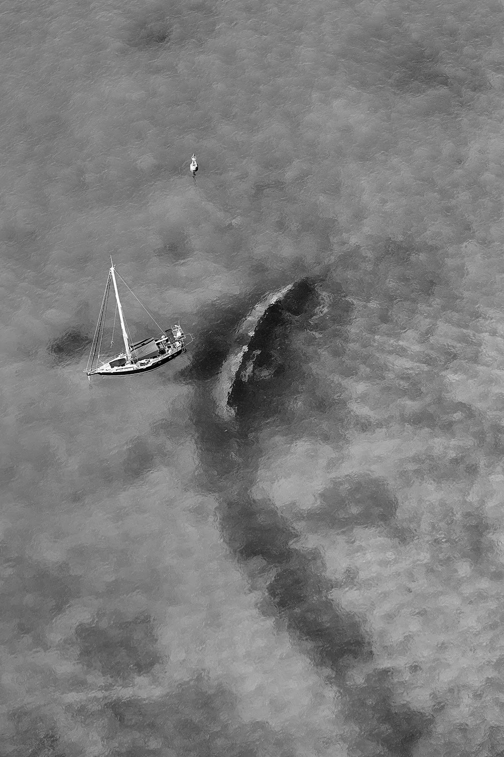 Kayali - 2016 - #022