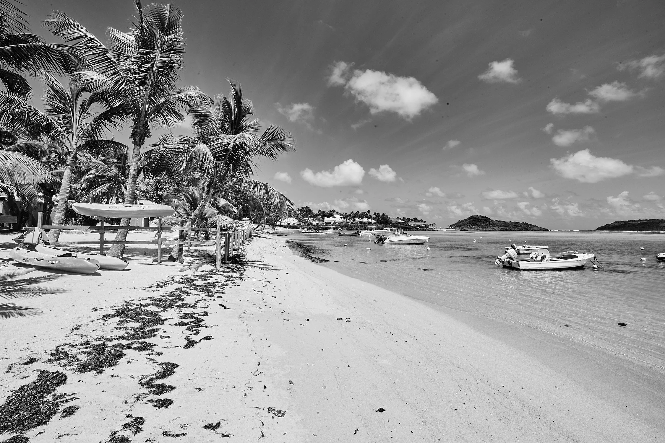 Petit Cul de Sac - 2016 - #105