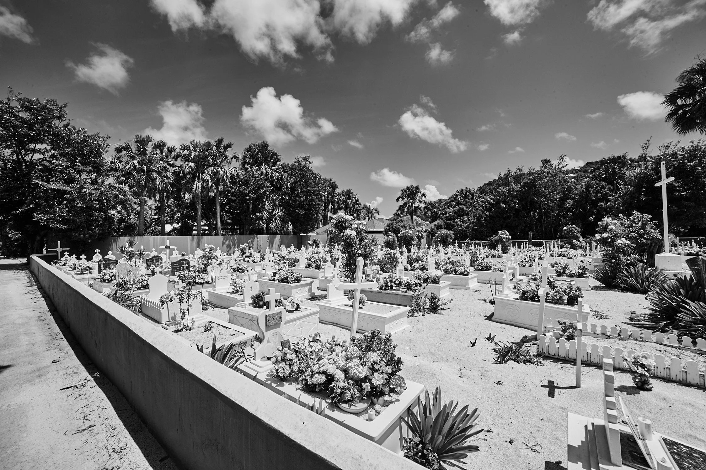 Graveyard Lorient - 2015 - #157