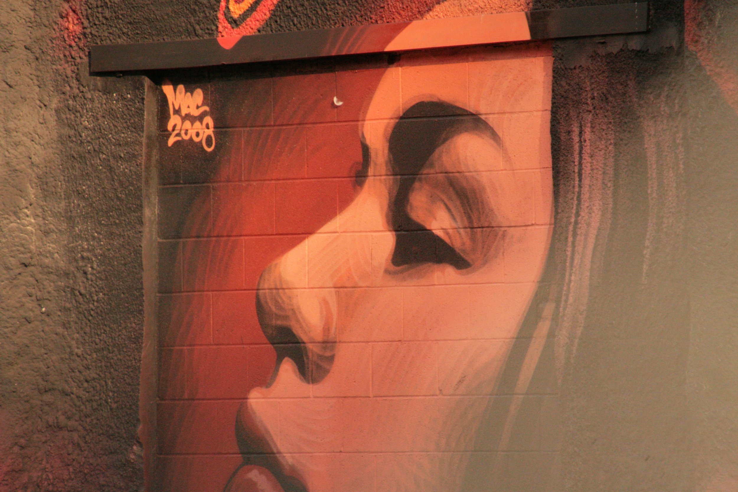 A mural of a woman's face painted on a brick wall, signed with the artist's name and the year 2008.