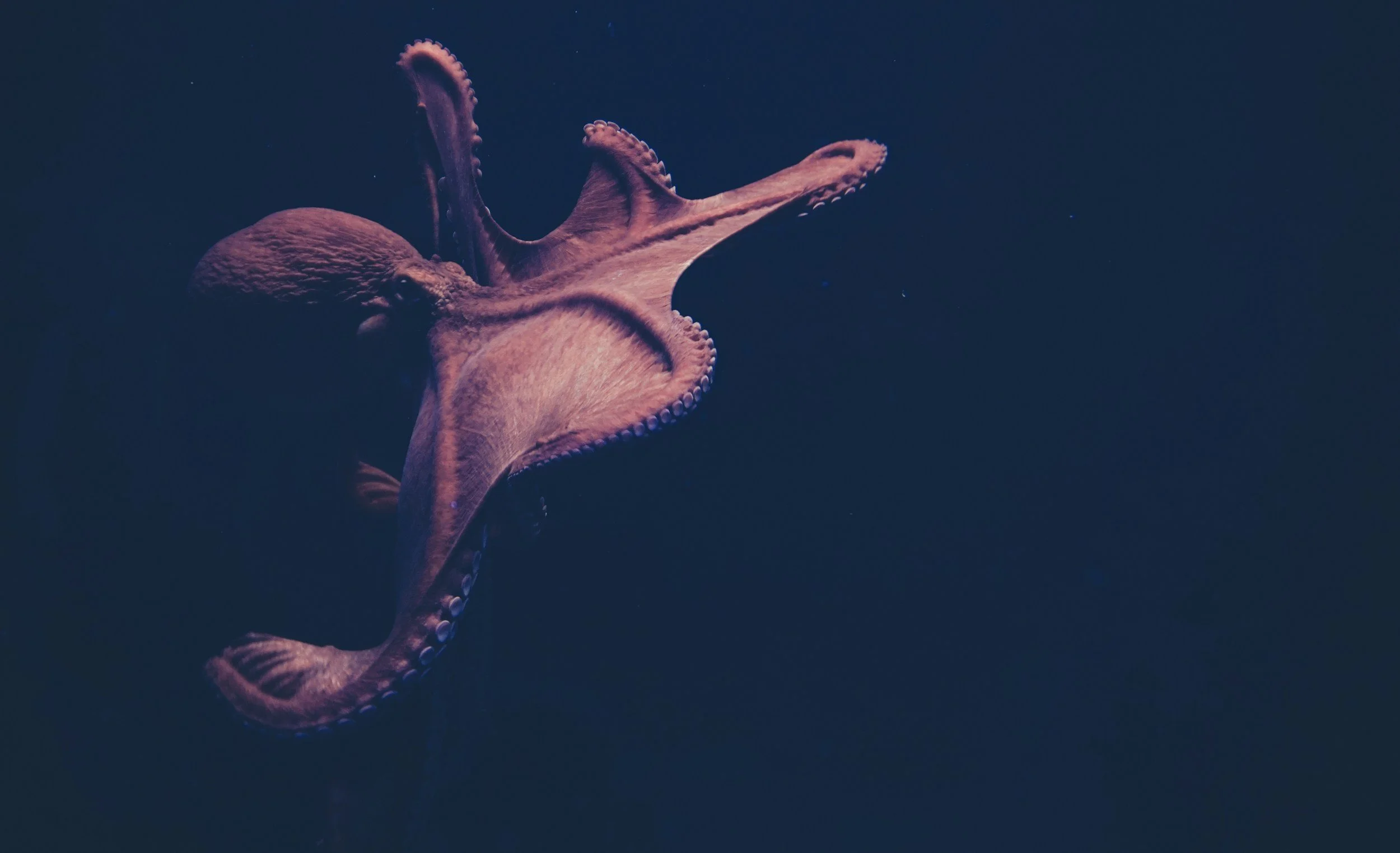 Existential Horror Can Help Add Structure