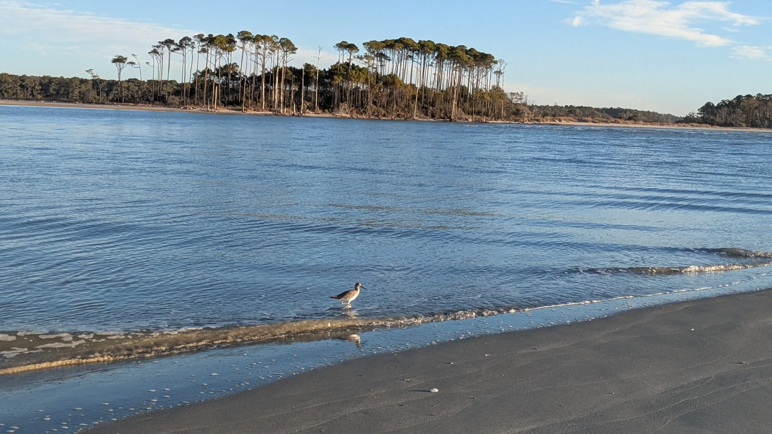Why Cherry Grove Point Is One of the Best Places to Stay in North Myrtle Beach