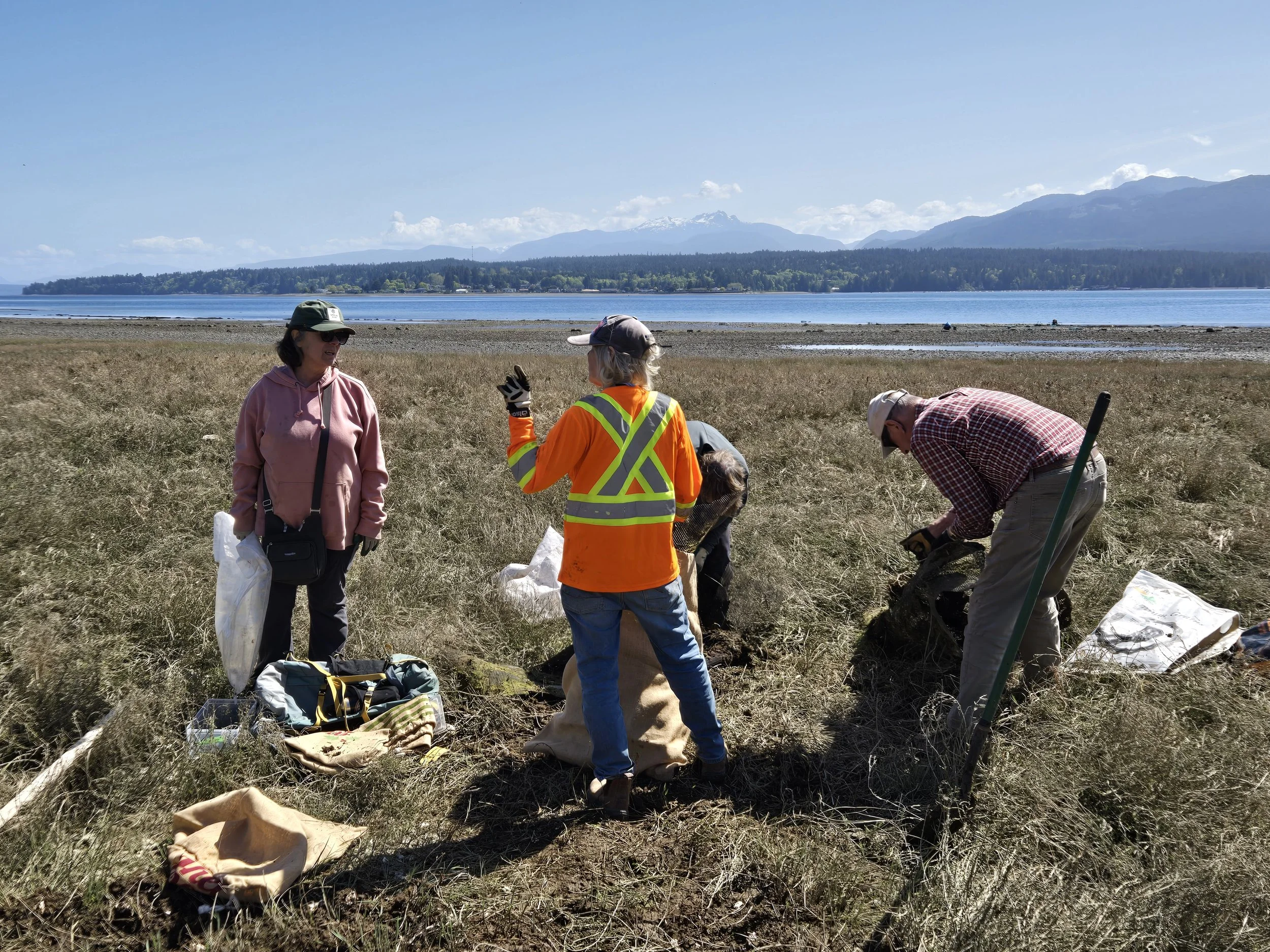 Hinton Beach area Cleanup April 23 2026