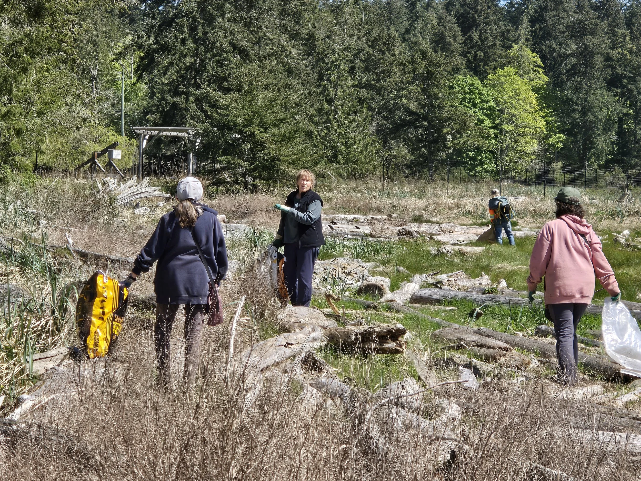Hinton Beach area Cleanup April 23 2026