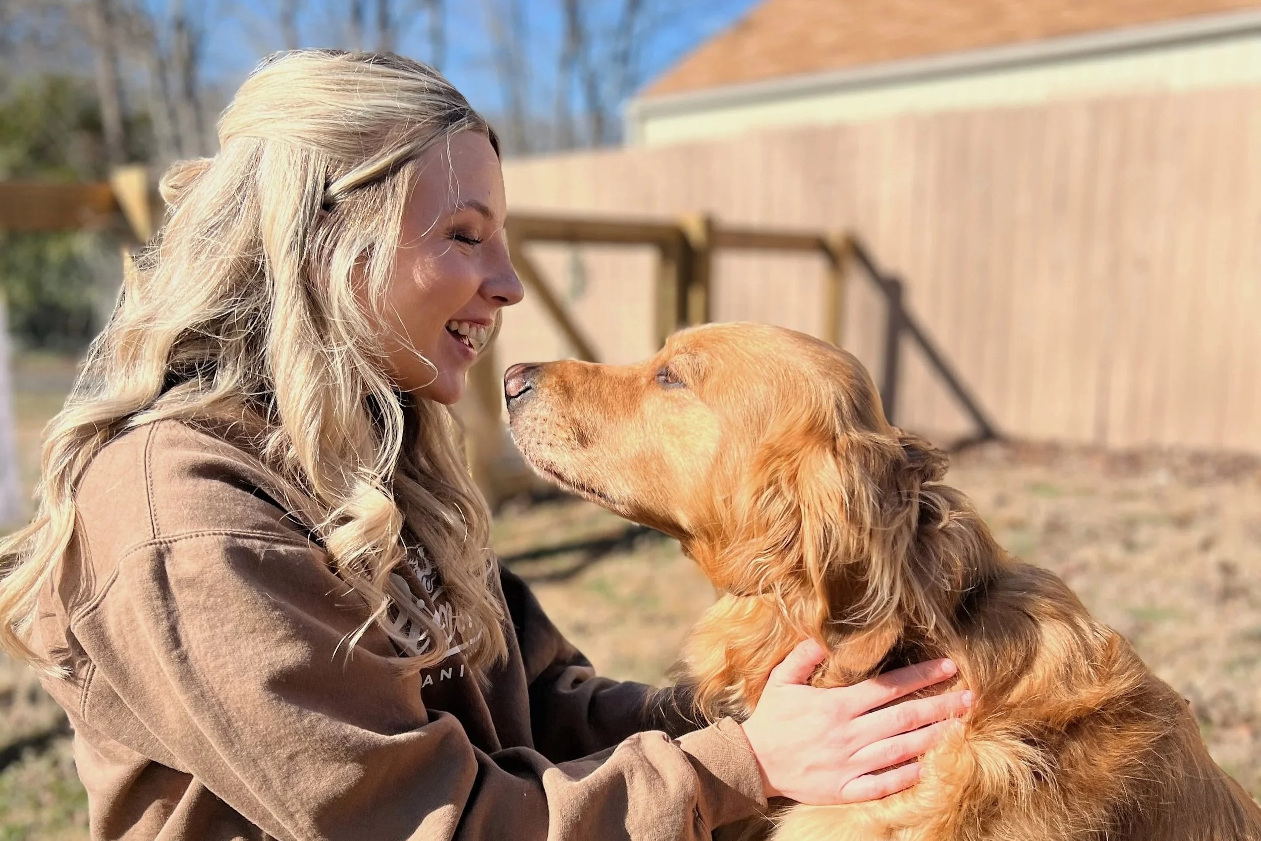 How Much Does Dog Training Cost in Winston-Salem, NC?