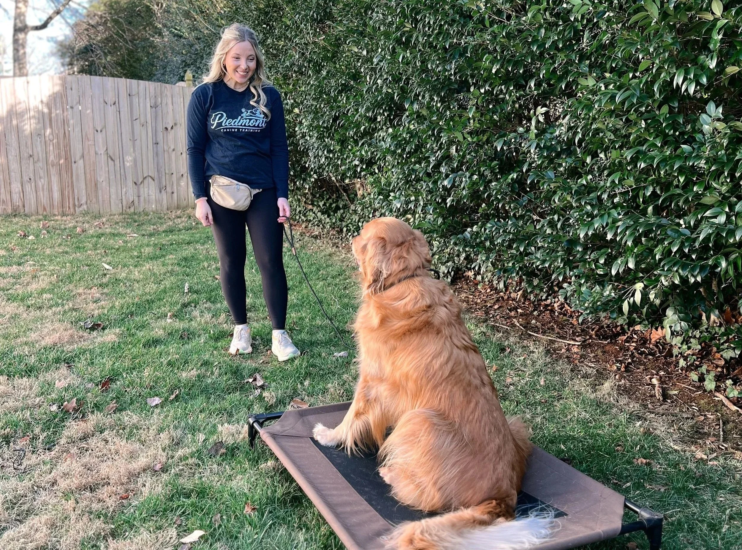 What to Expect from Our 3-Week Board and Train Program (Day by Day)