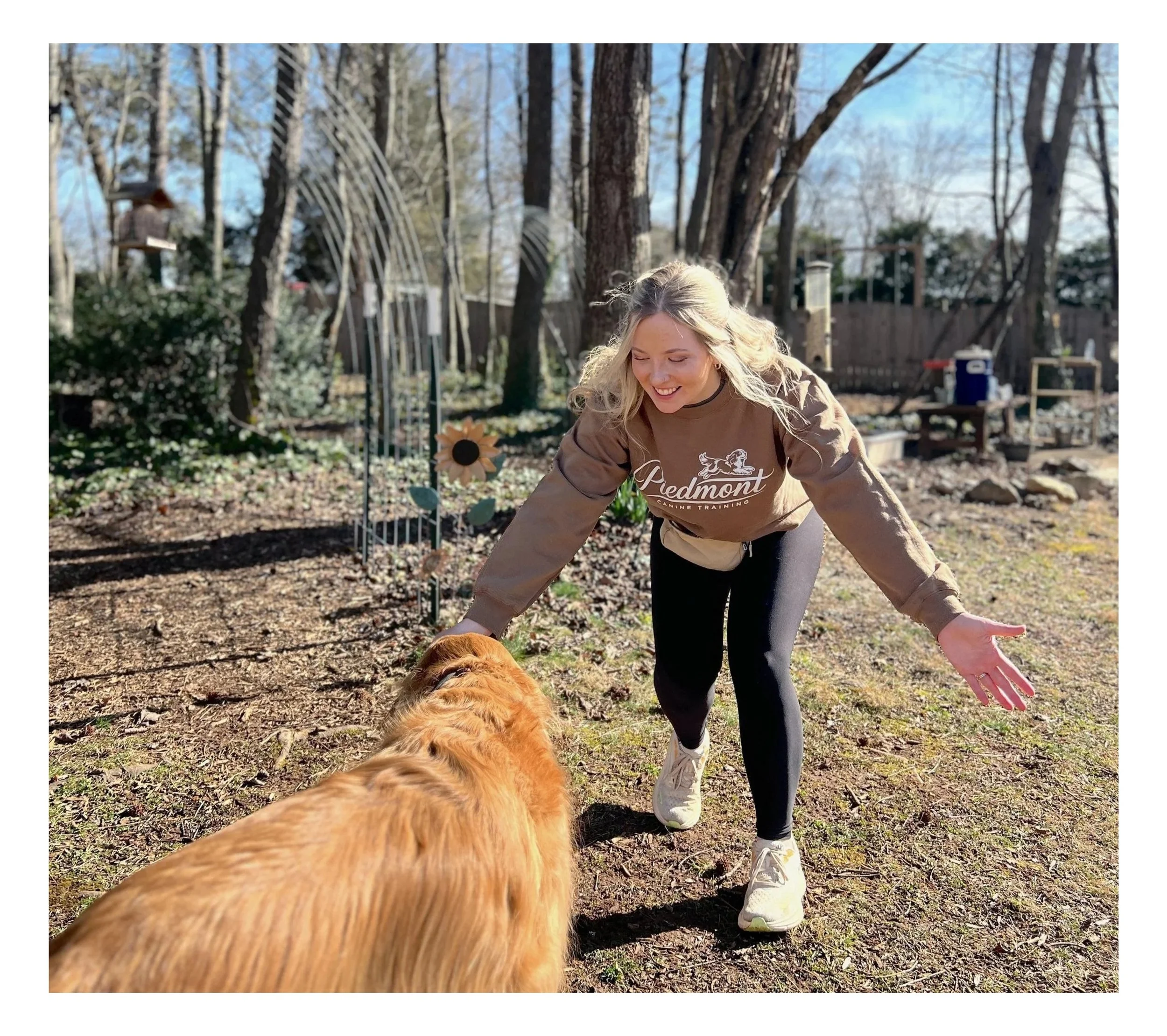How to Stop Leash Reactivity in Dogs: A Winston-Salem Trainer's Guide