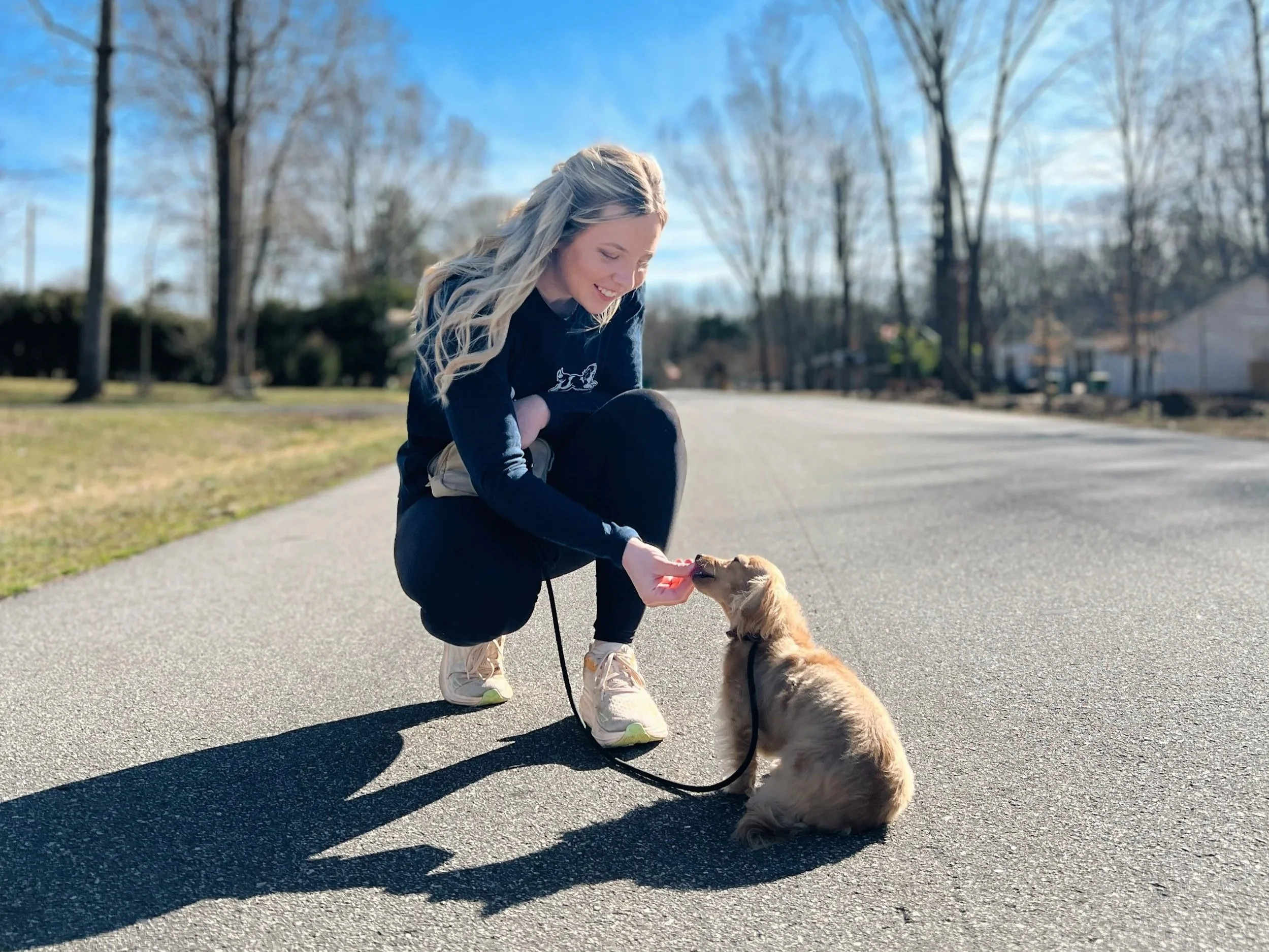 Board and Train vs. Private Lessons: Which Is Right for Your Dog?