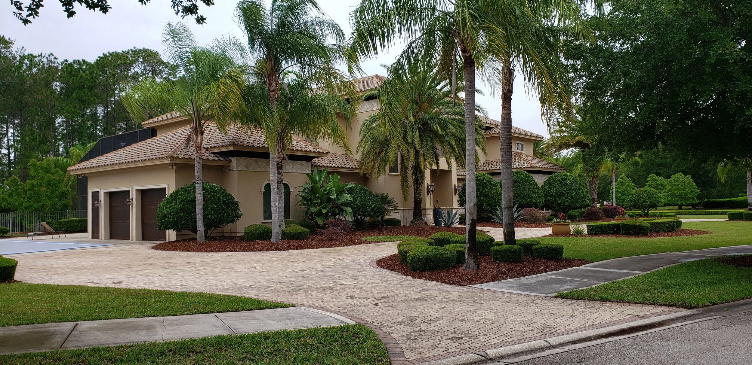 ICF Home Palm Trees.jpeg