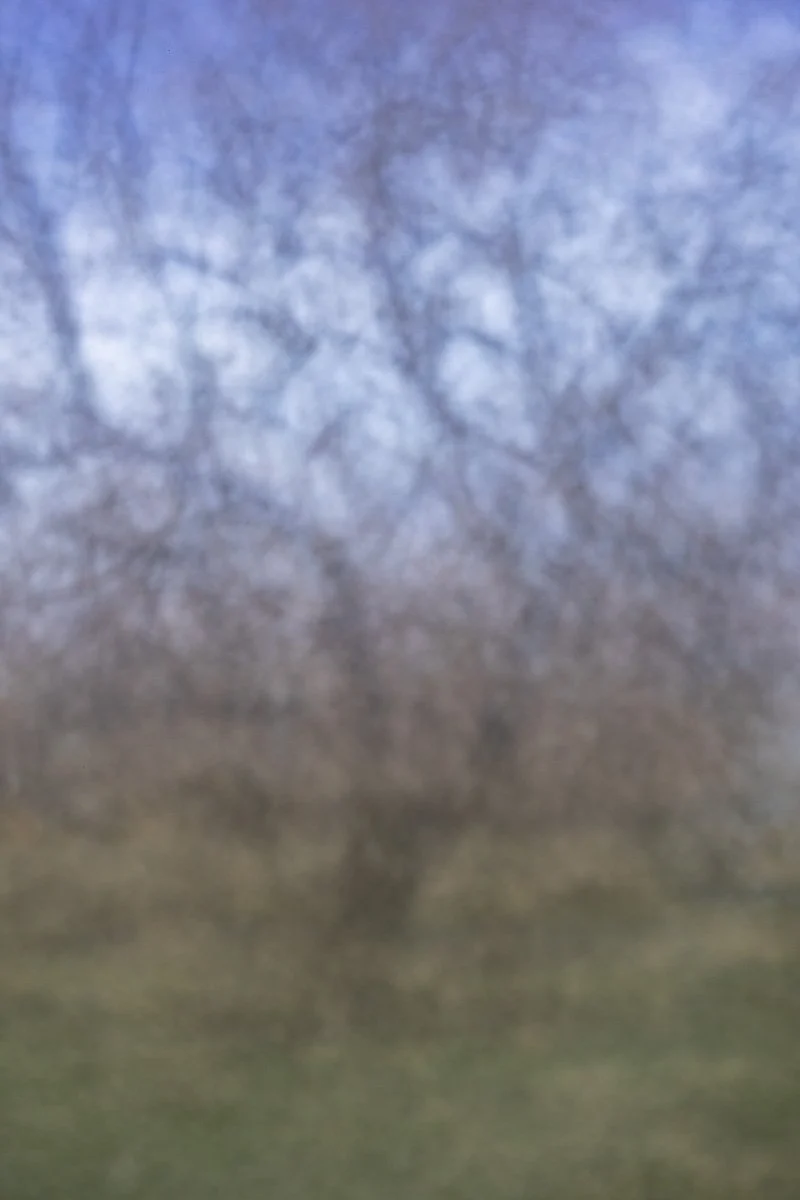 Digital Pinhole Photographs