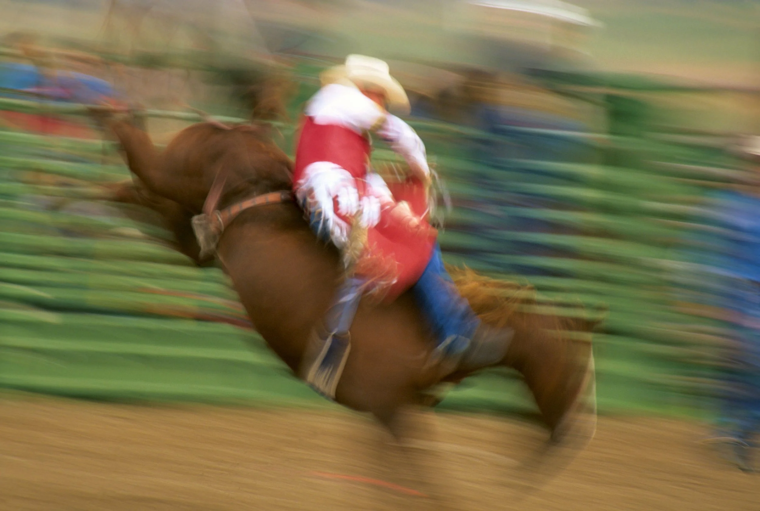 Bronco Rider, Swan Valley Idaho