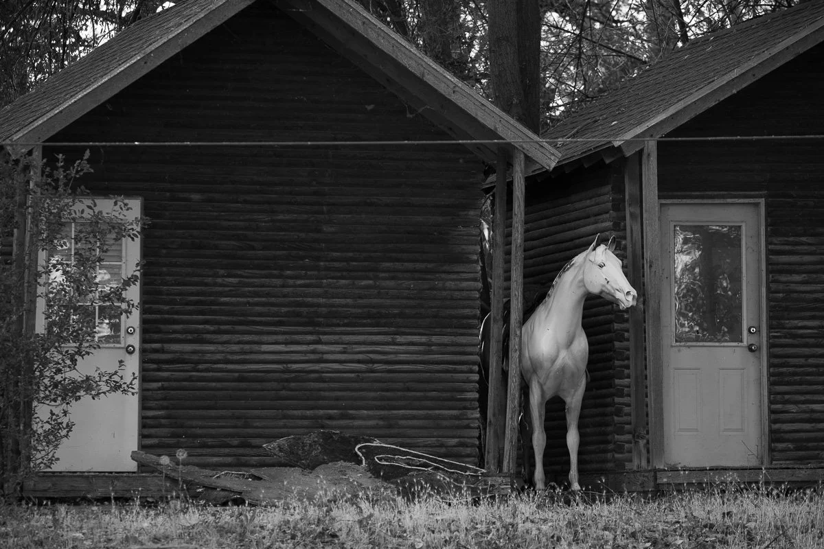 Structuring Nature 2024