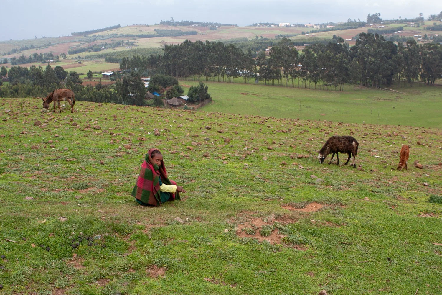 Shepard Girl, Ethiopia 