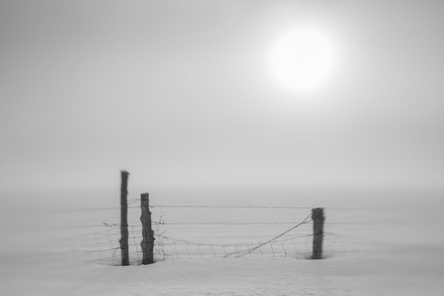 kschley230313-3060.jpg