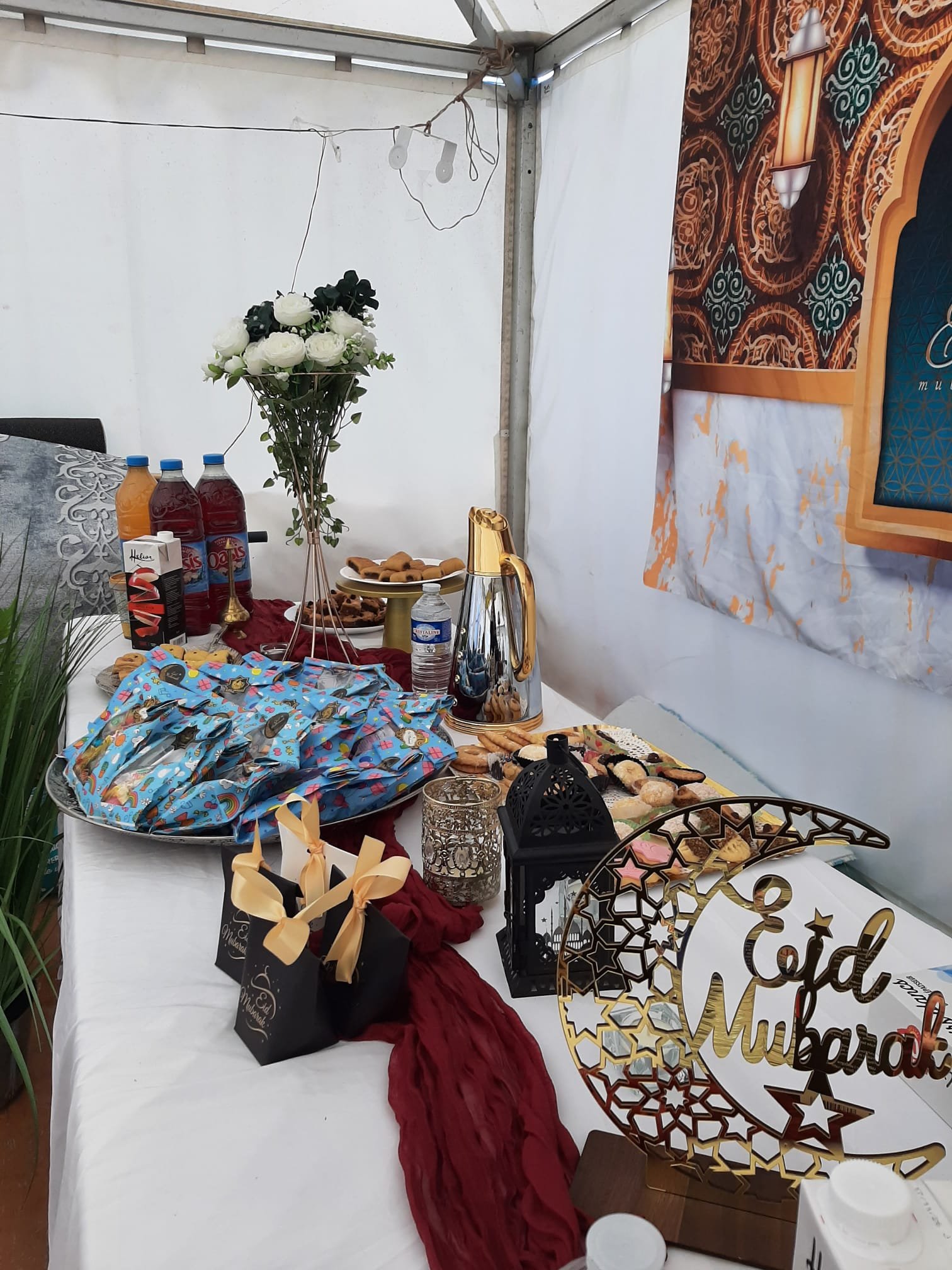 WhatsApp Image 2026-03-29 at 21.08.56.jpeg