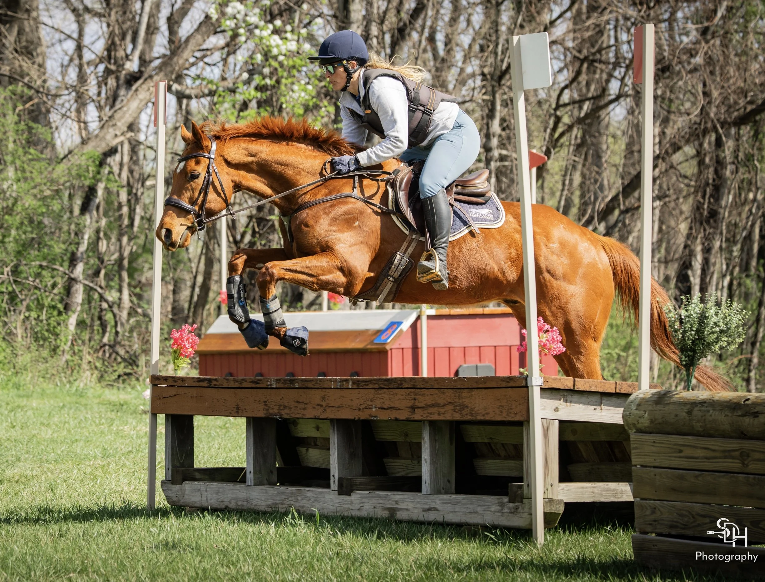 MSH Al's Frosted - "Alfie"