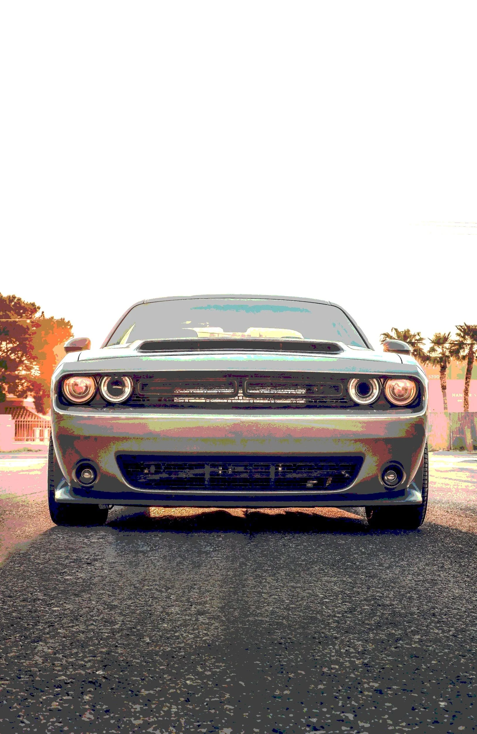 Front view of a silver muscle car parked on a street with trees and palm trees in the background under a clear sky.