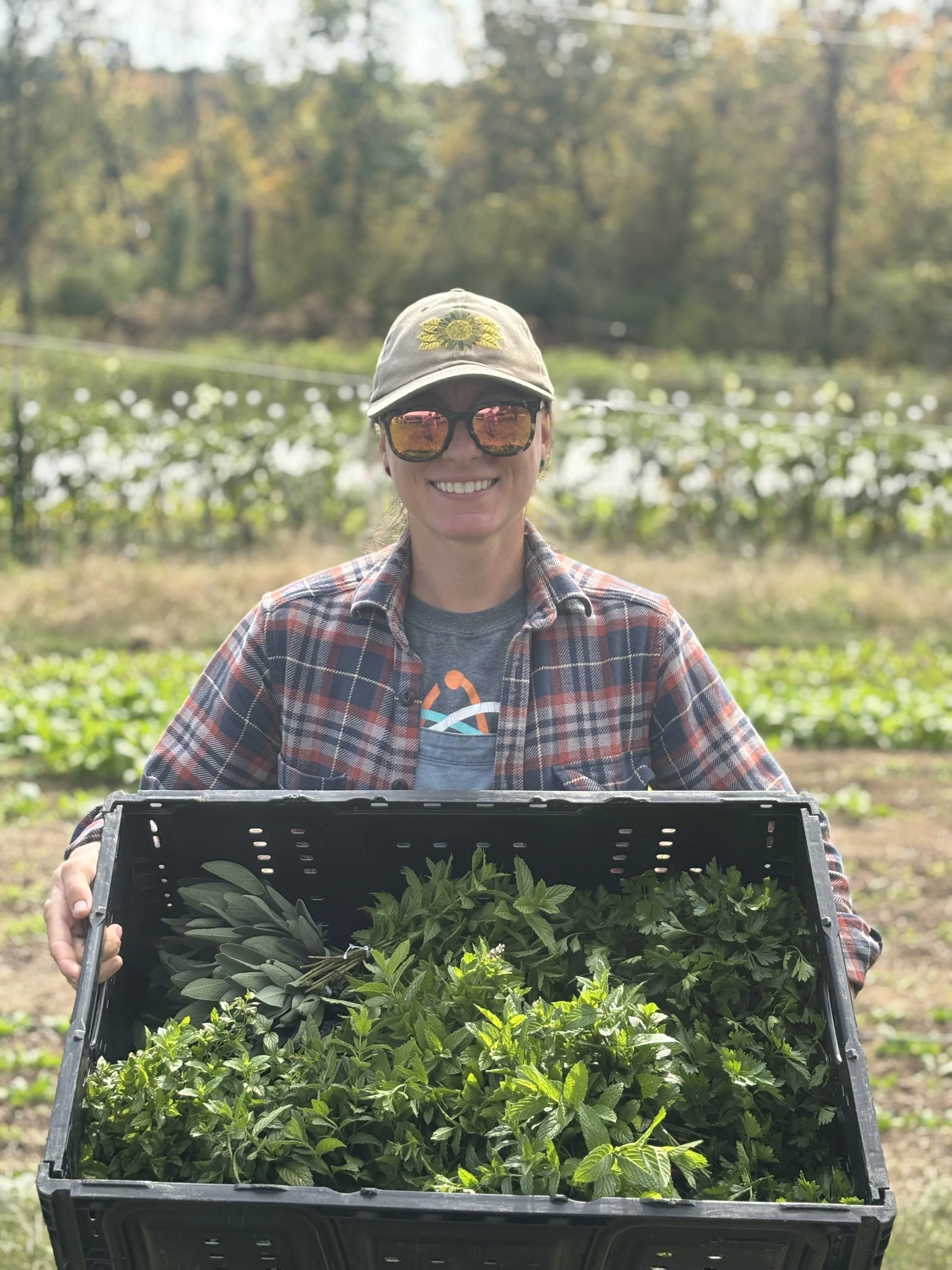 Lindsey in the field