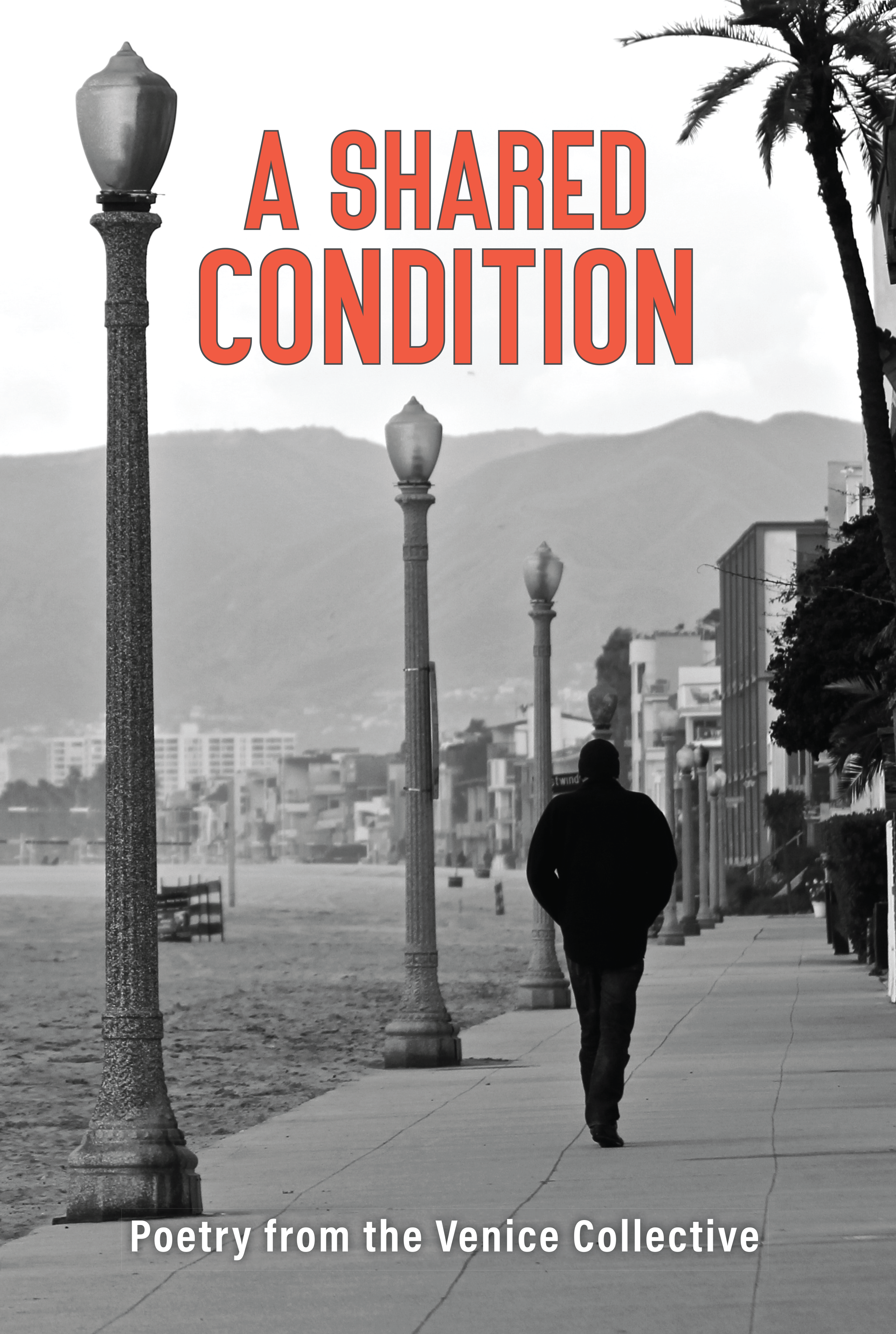 ASharedCondition-Cover-091124.png