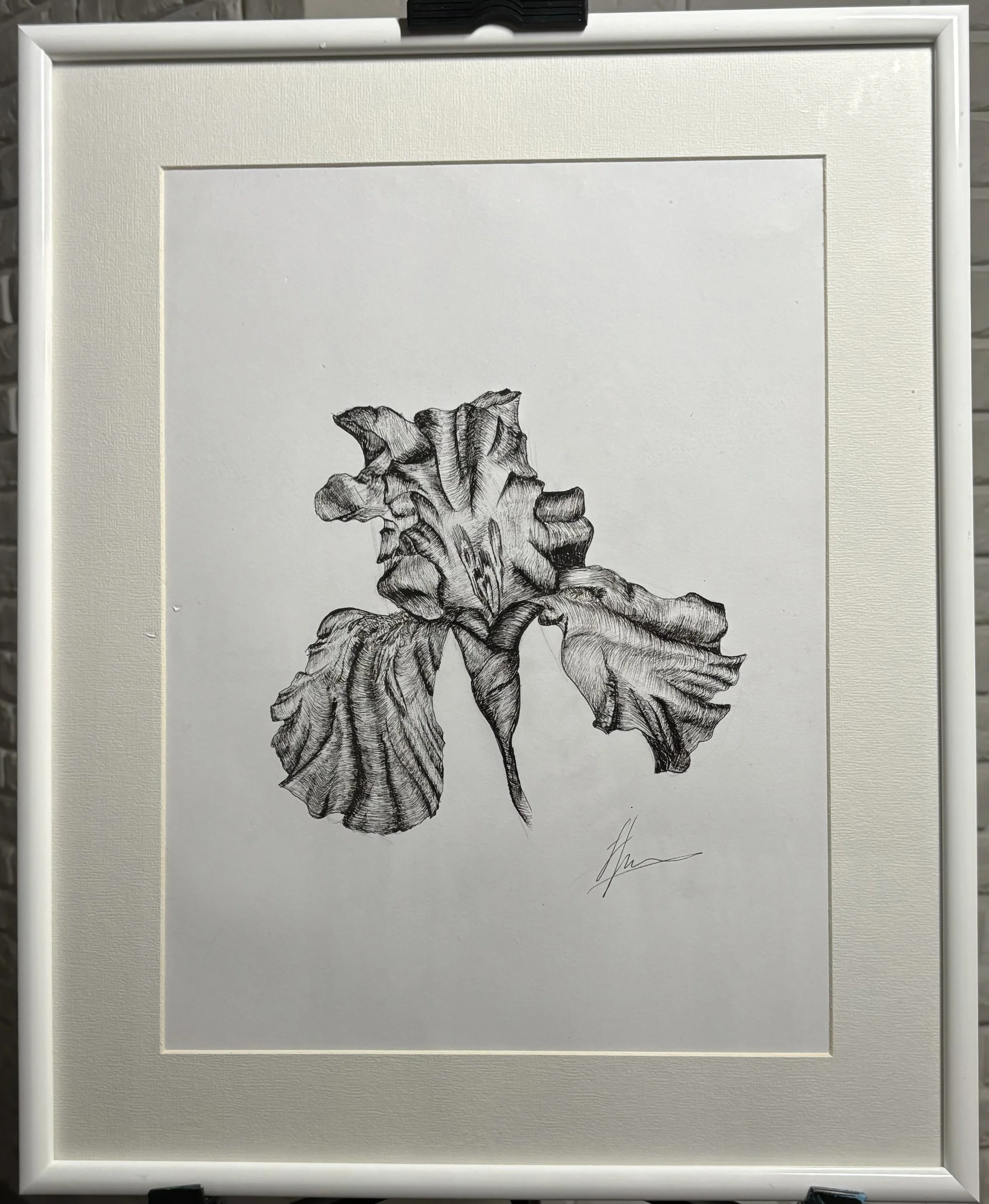 Black and white pencil drawing of a flower with large, textured petals, signed at the bottom right.